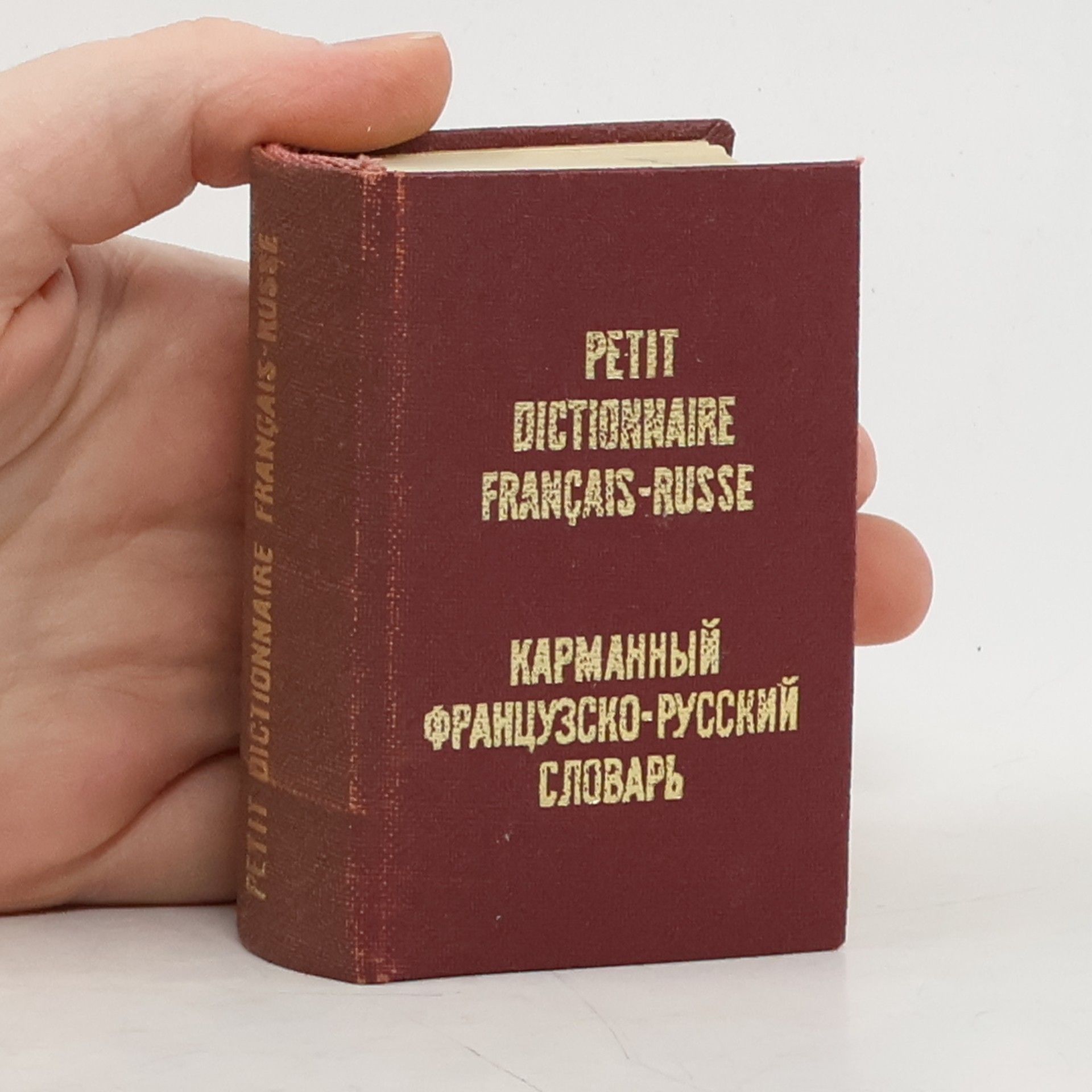 Kolektiv autorů Petit dictionnaire français-russe. Карманный французско-русский словарь
