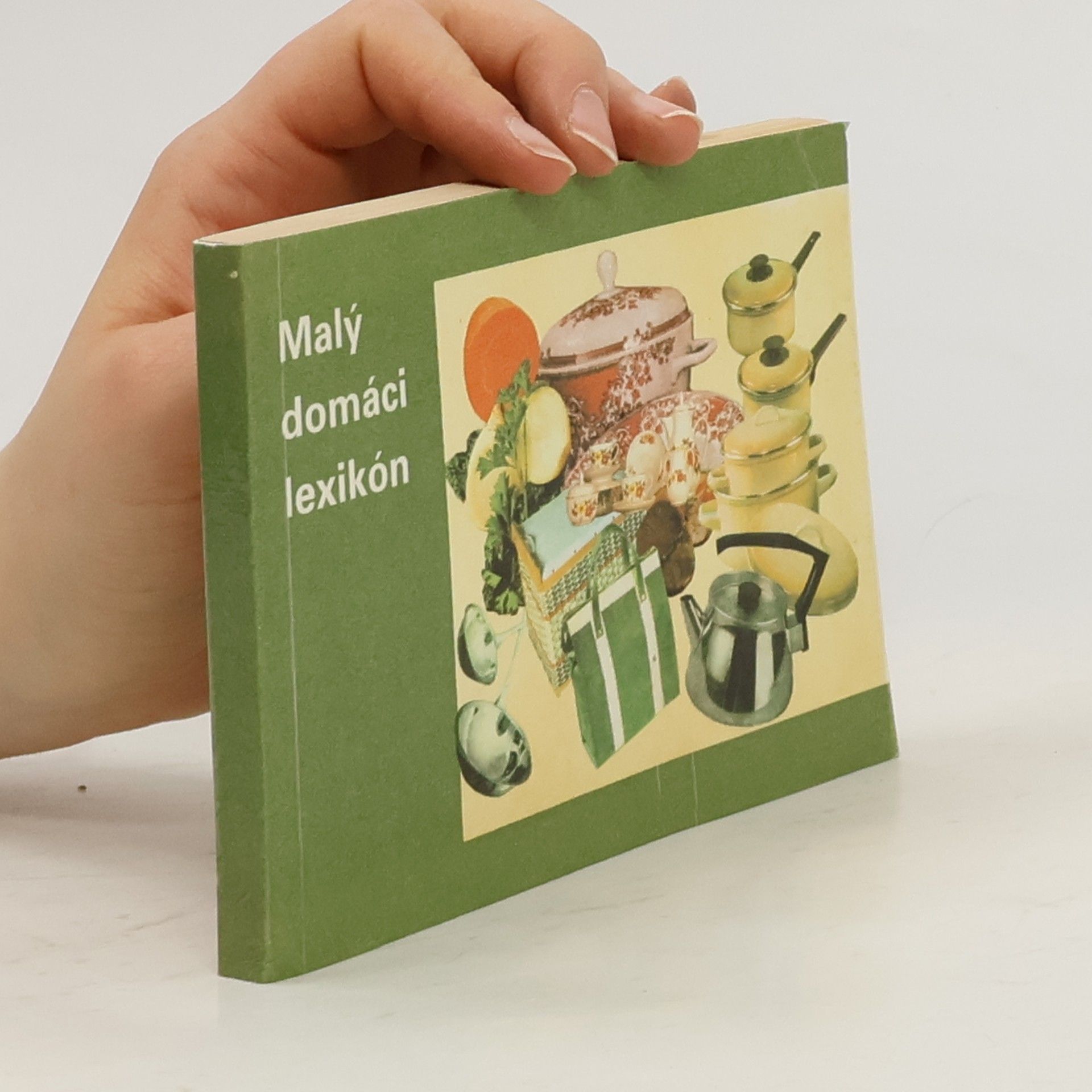 Jiří Bílek Malý domáci lexikon