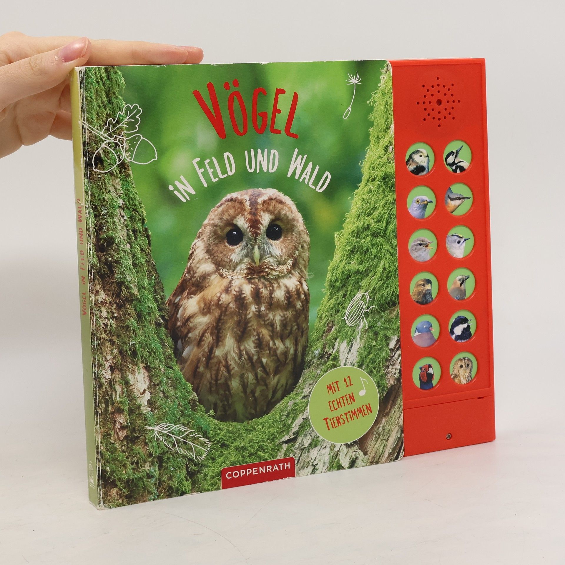 Holger Haag Vögel in Feld und Wald