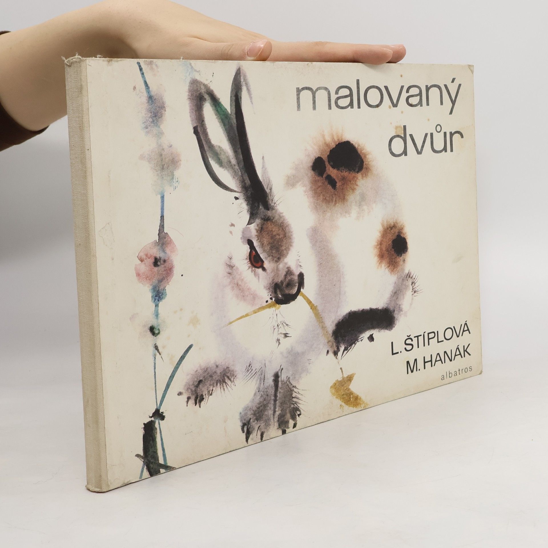 Ljuba Štíplová Malovaný dvůr