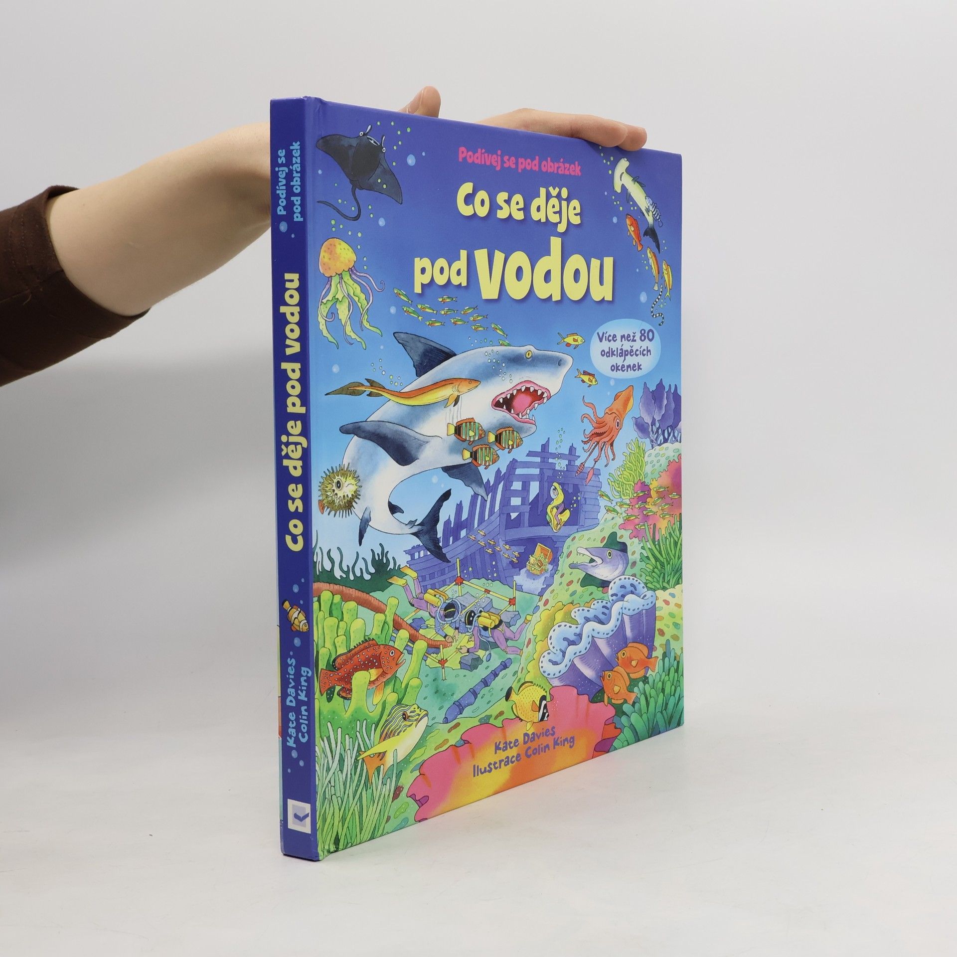 Dr Kate Davies Co se děje pod vodou : podívej se pod obrázek : více než 80 odklápěcích okének