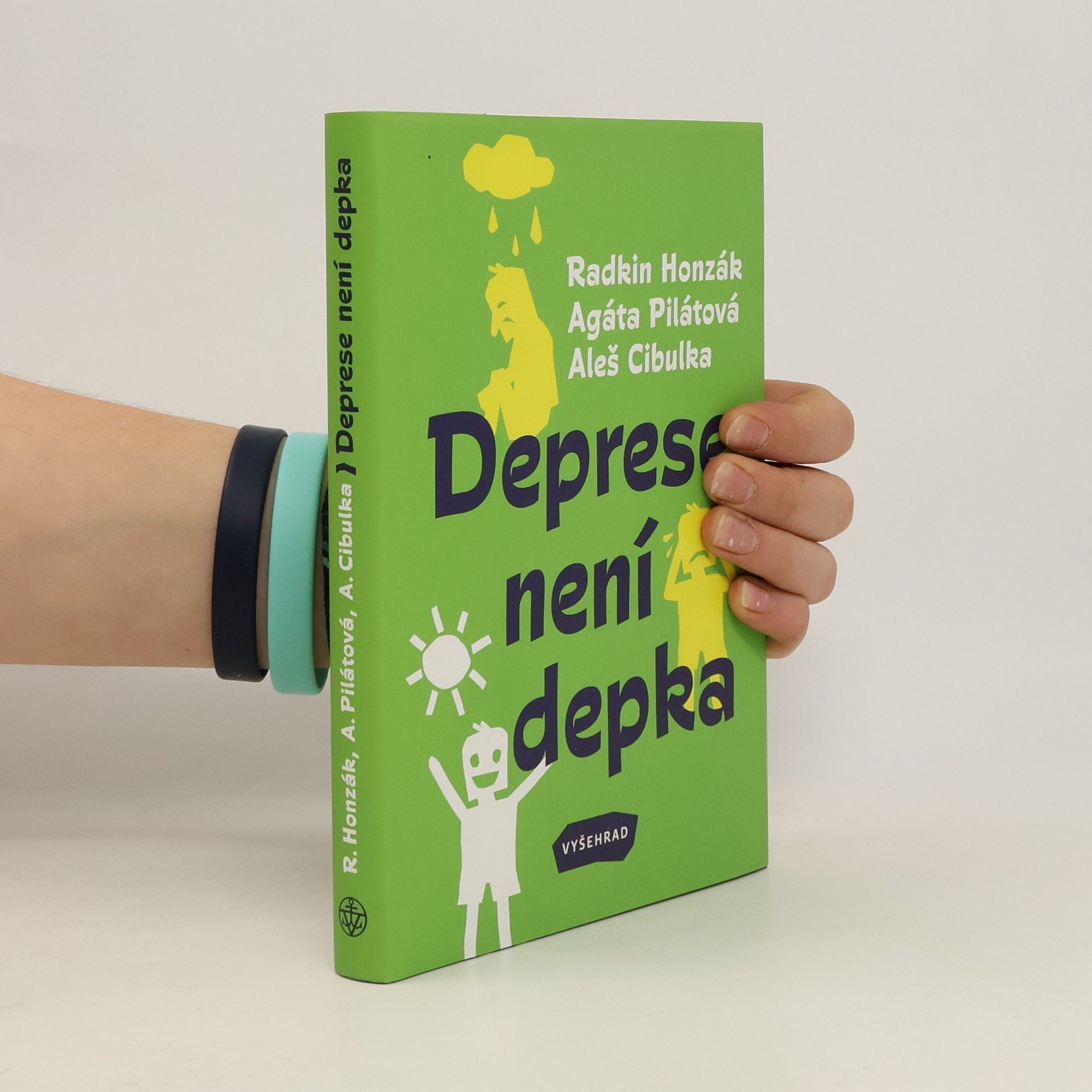 Kolektiv autorů Deprese není depka
