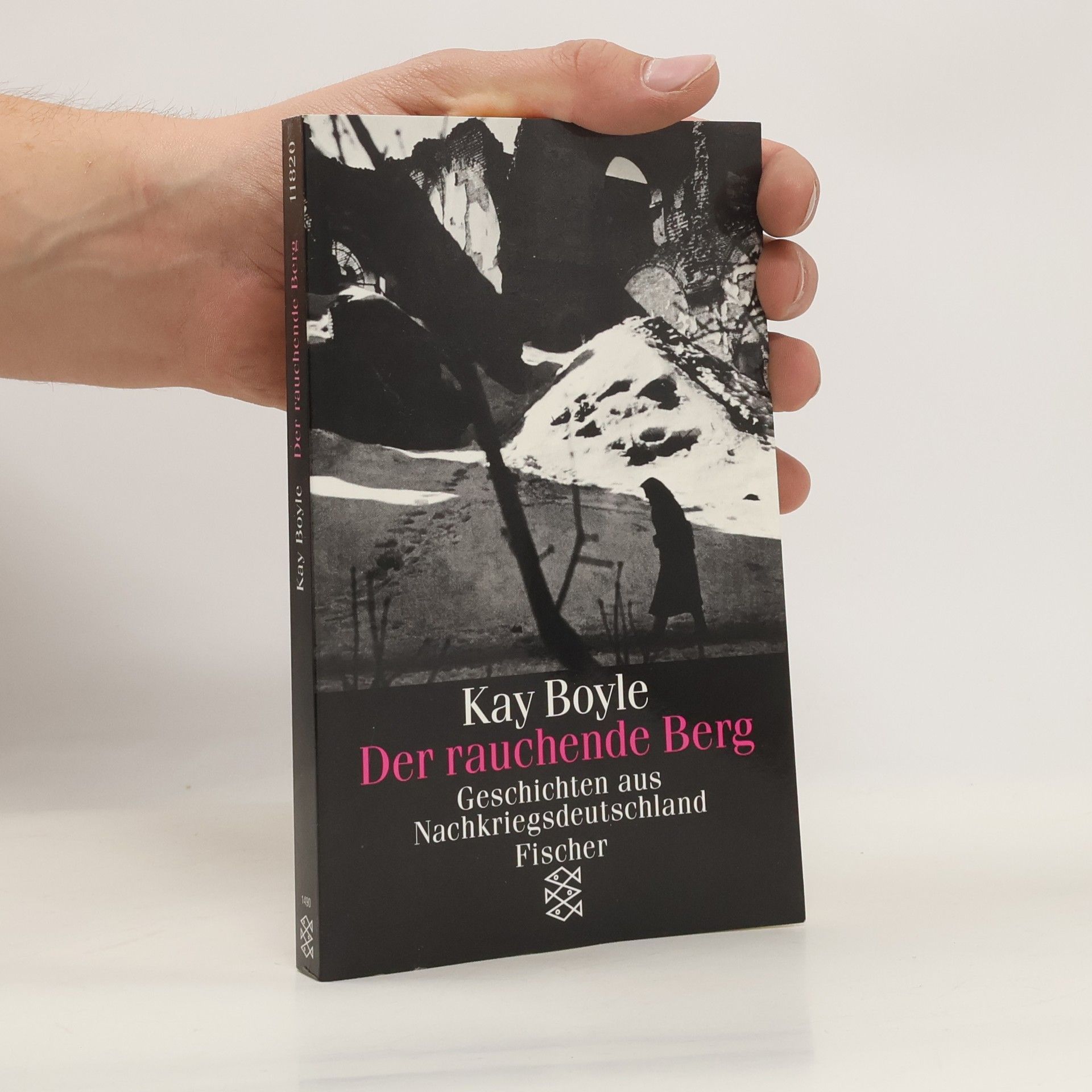 Kay Boyle Der rauchende Berg