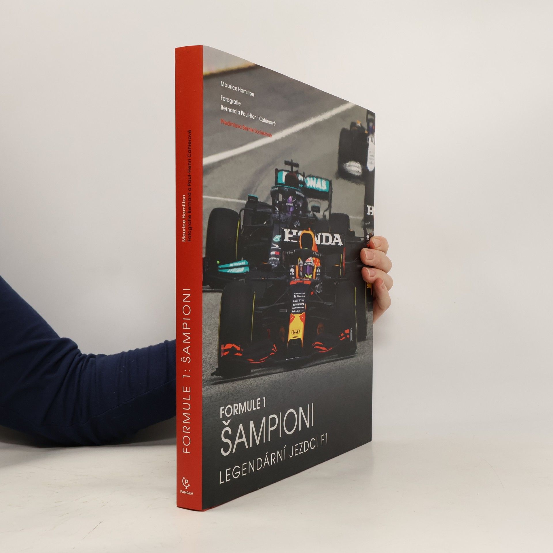 Maurice Hamilton Formule 1 : šampioni : legendární jezdci F1