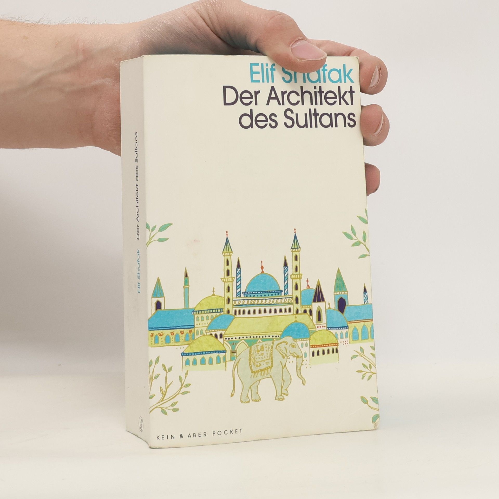 Elif Shafak Der Architekt des Sultans