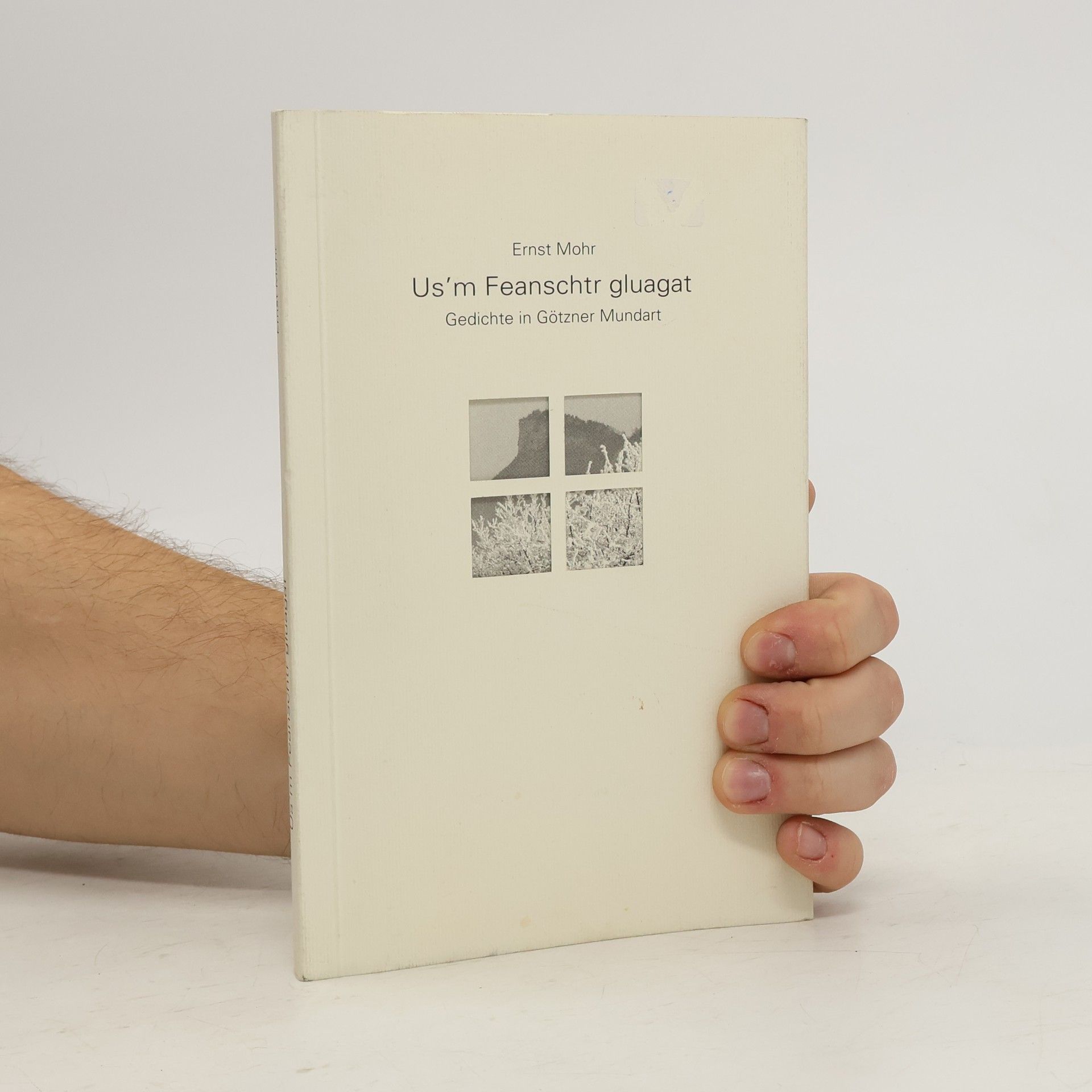 Us'm Feanschtr gluagat. Gedichte in Götzner Mundart