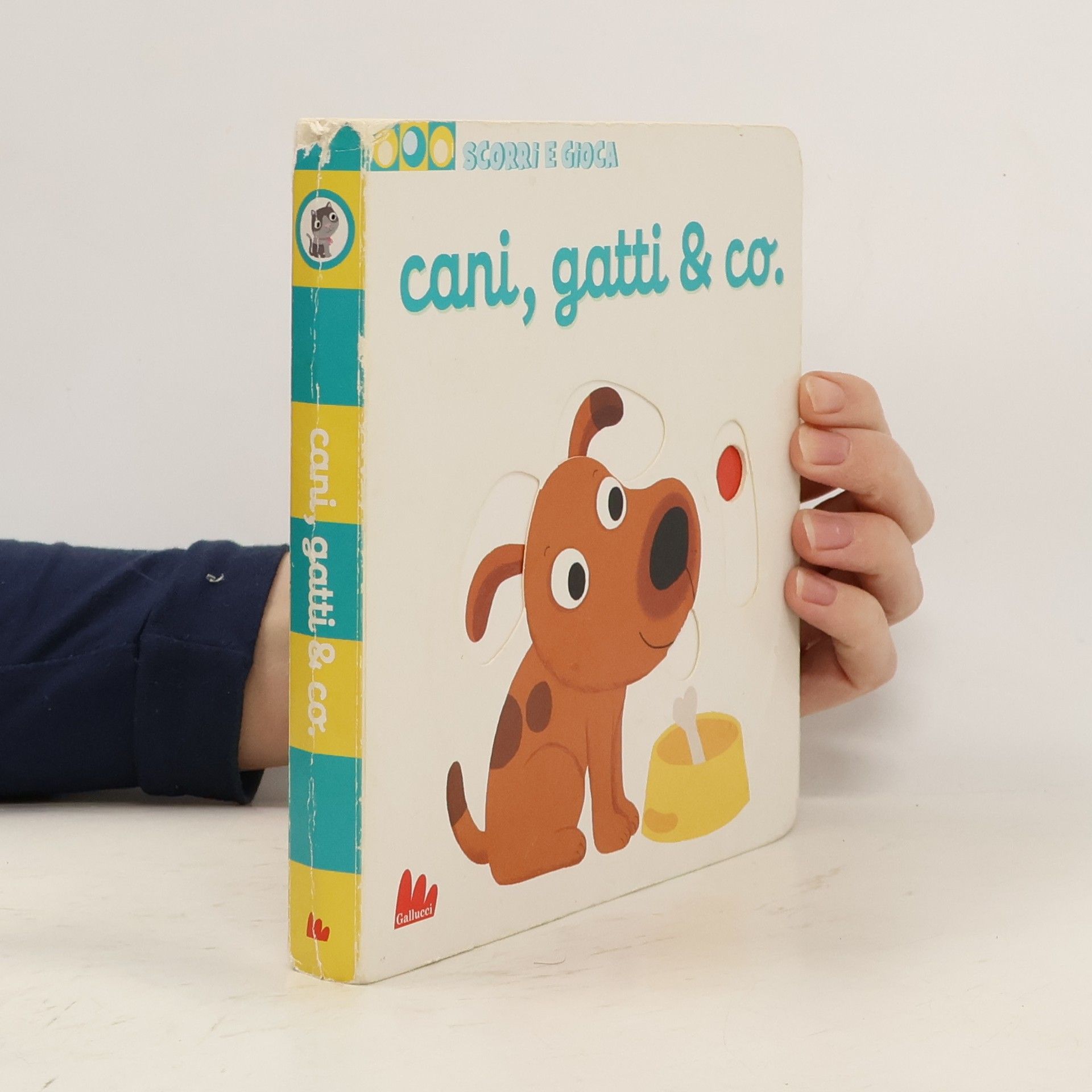 AA.VV. Cani, gatti & co.