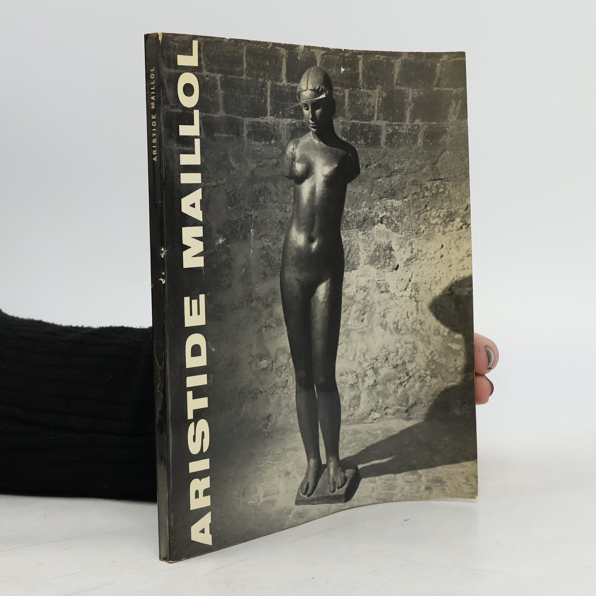 Kolektiv autorů Aristide Maillol