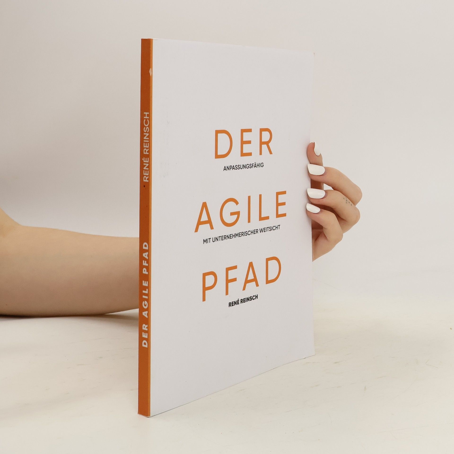René Reinsch Der agile Pfad