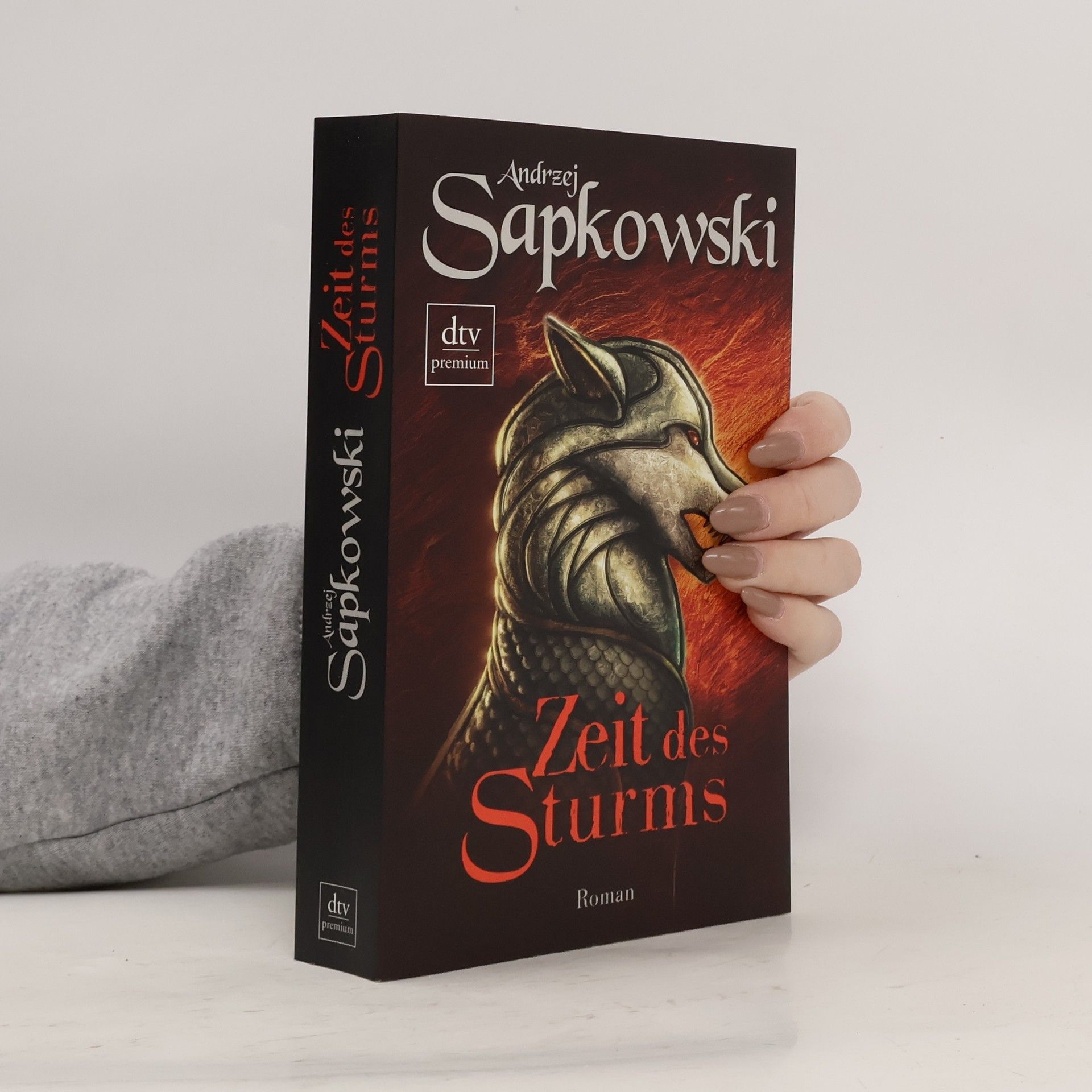 Andrzej Sapkowski Zeit des Sturms
