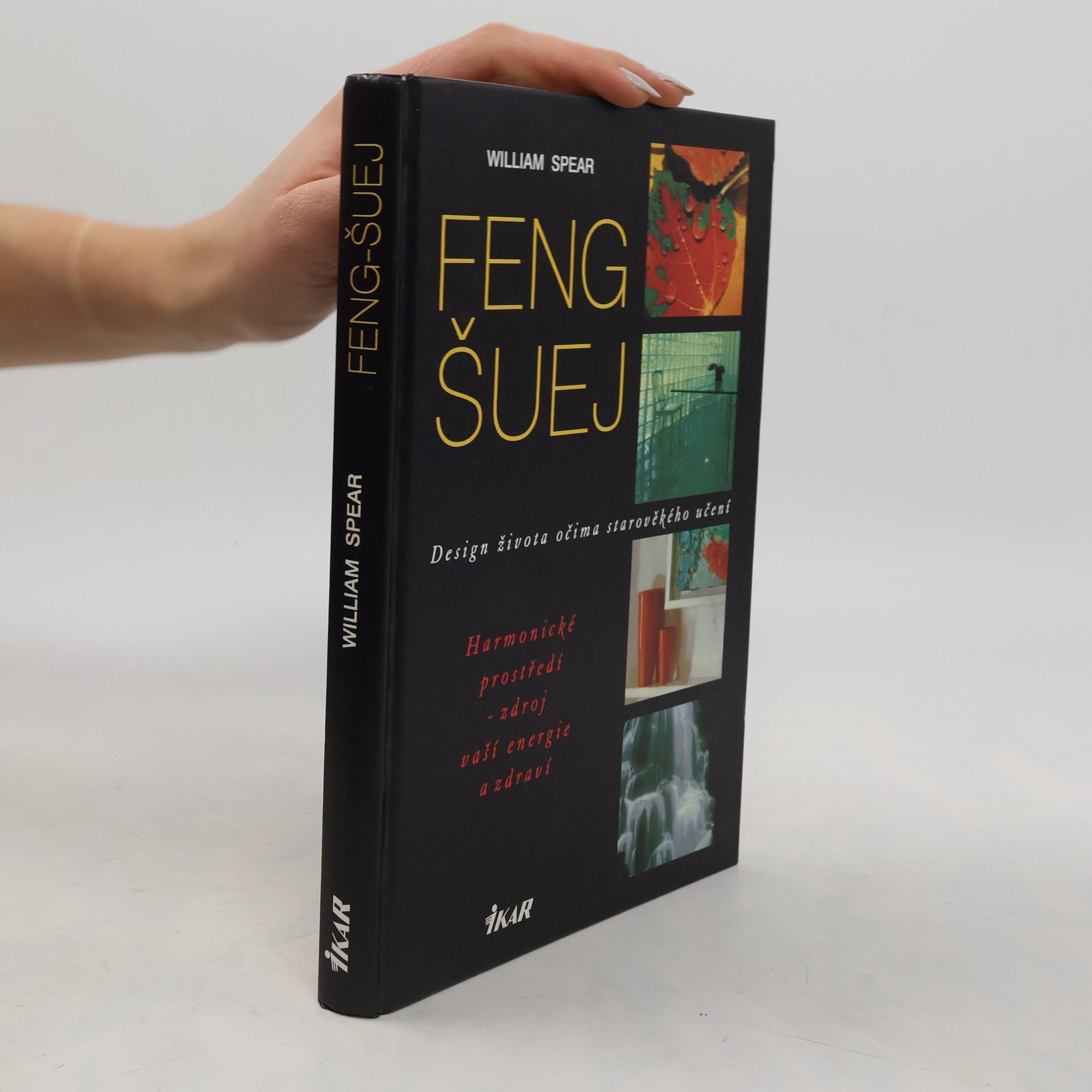 Zdeňka Vasiljevová Feng šuej