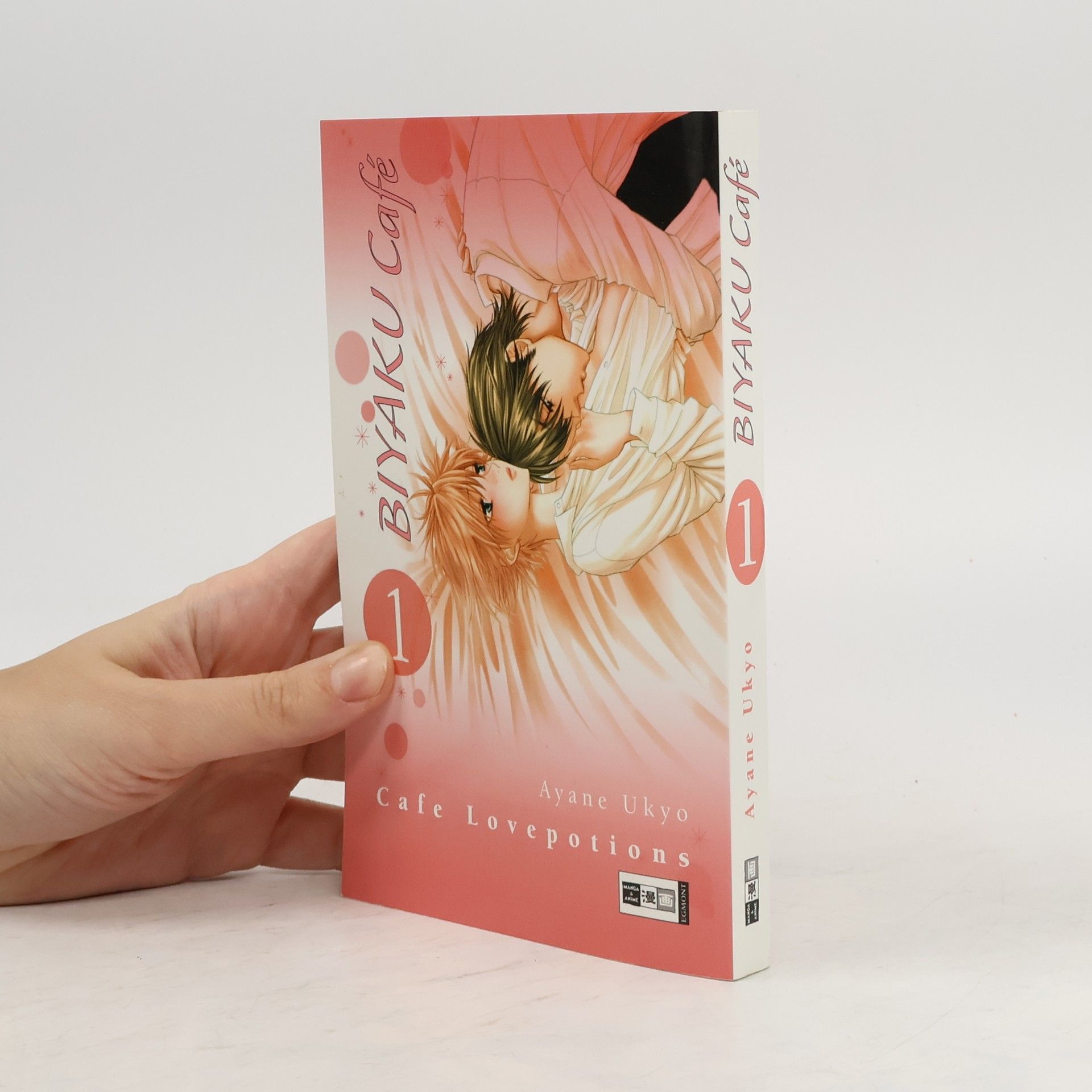 Ukyo Ayane Biyaku café 1