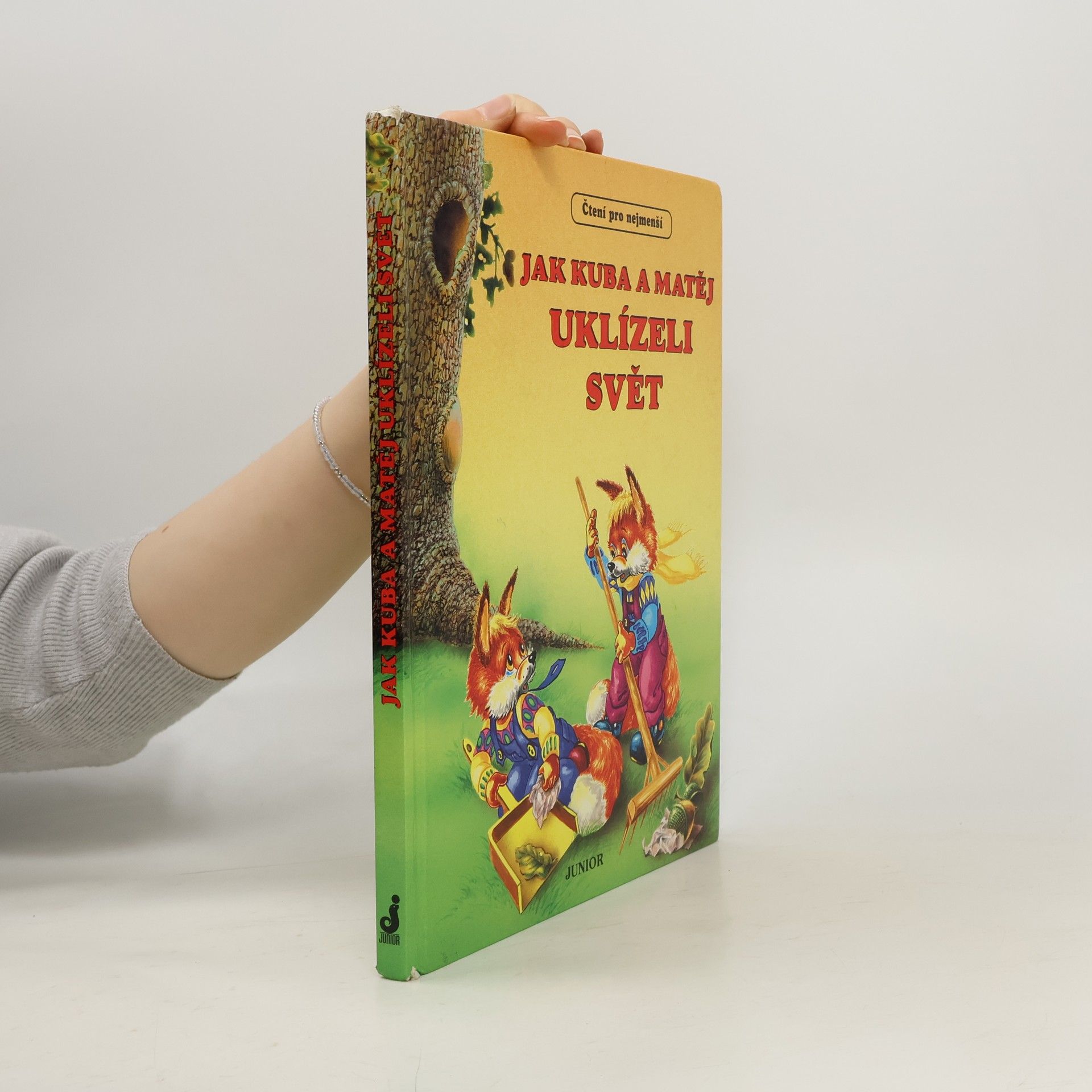 AA.VV. Jak Kuba a Matěj uklízeli svět