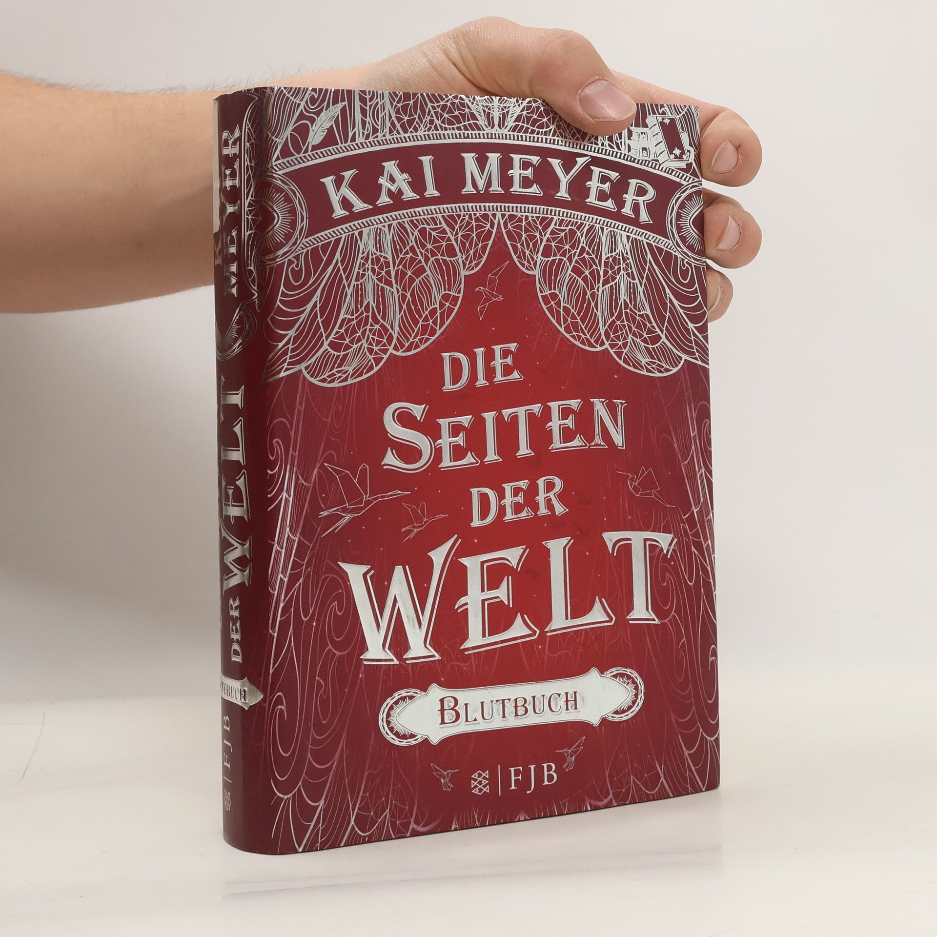 Kai Meyer Die Seiten der Welt - Blutbuch