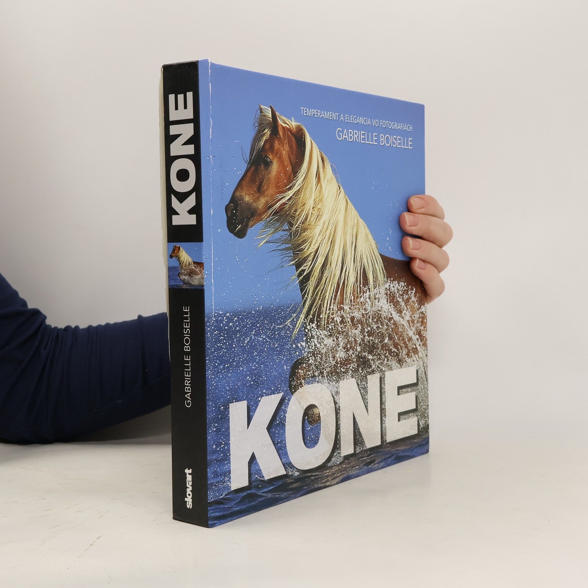 Gabriele Boiselle Kone