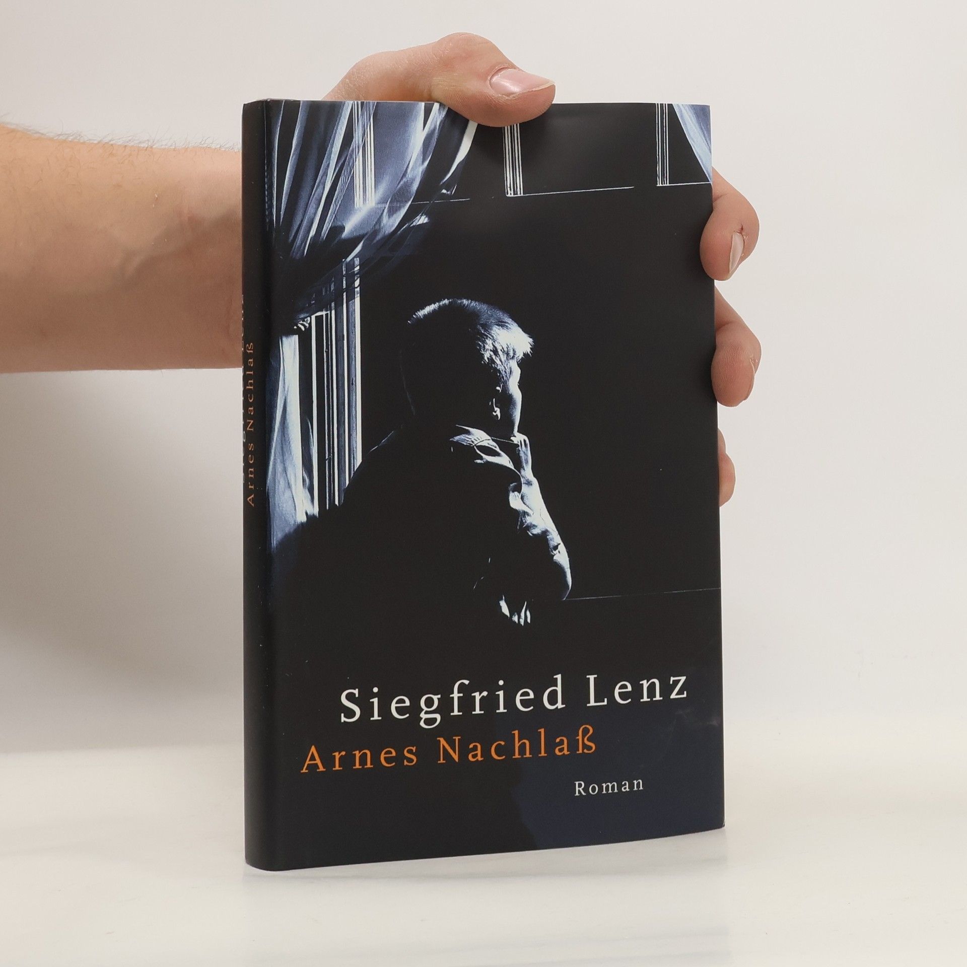 Siegfried Lenz Arnes Nachlass