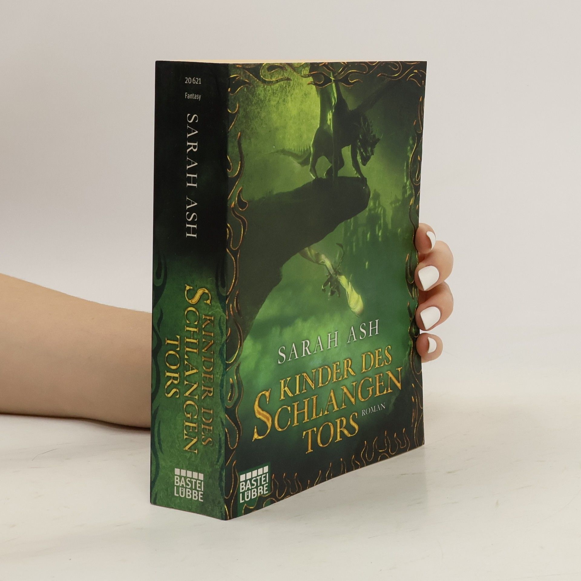 Kinder des Schlangentors. Roman