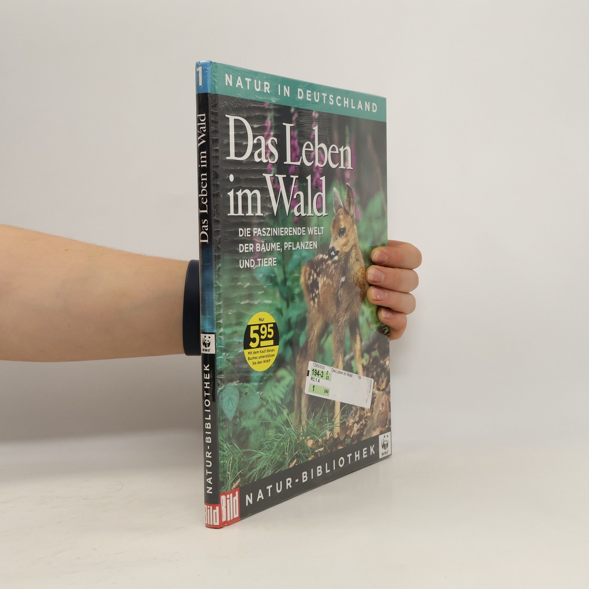 Regine Watscheid Natur in Deutschland 1. Das Leben im Wald