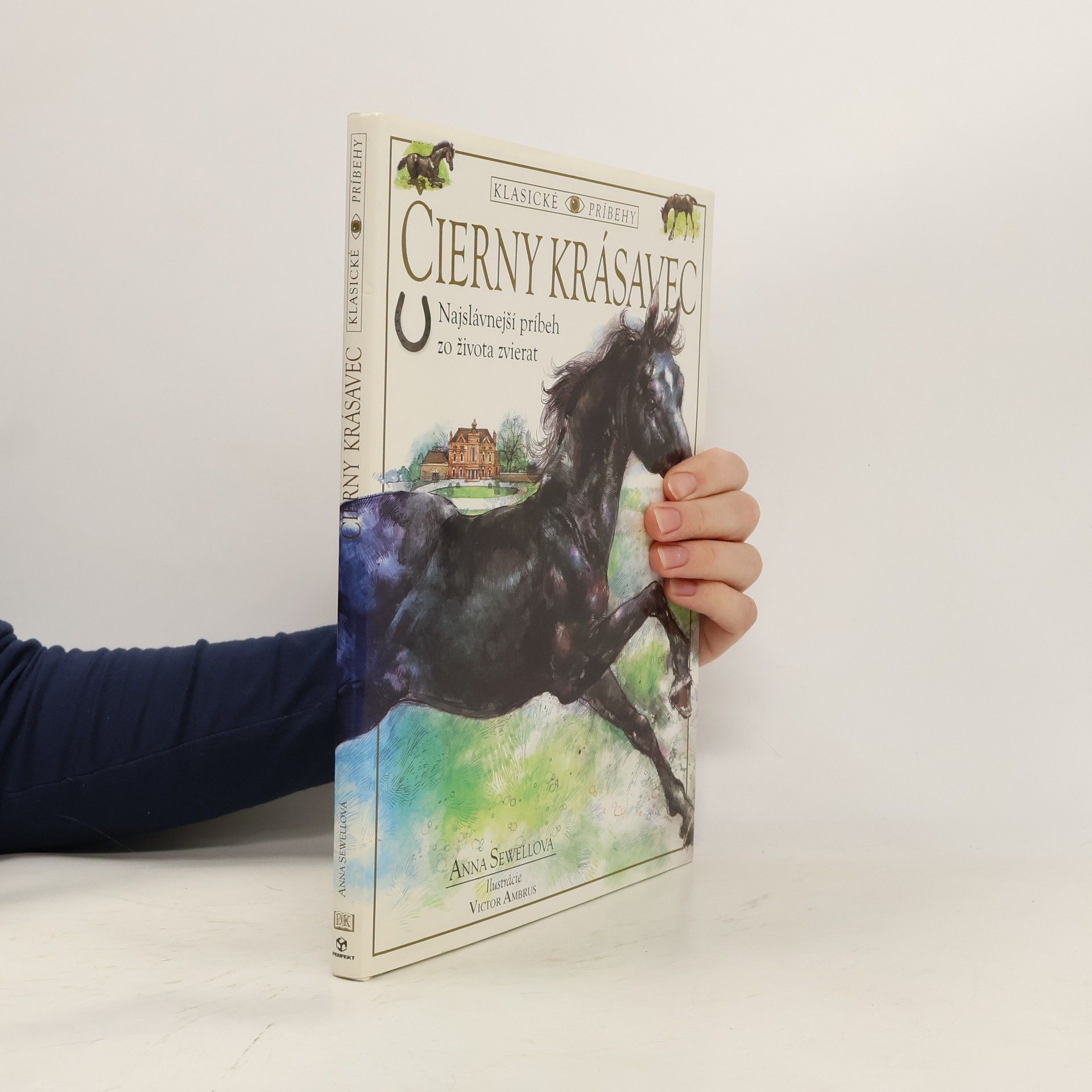 Anna Sewell Čierny krásavec