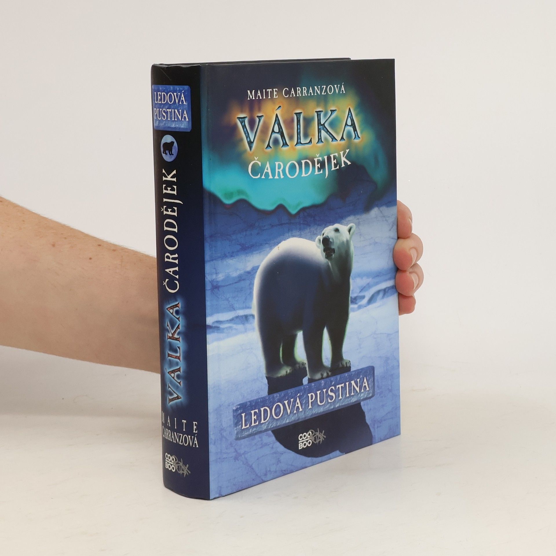 Maite Carranza Ledová pustina. Válka čarodějek