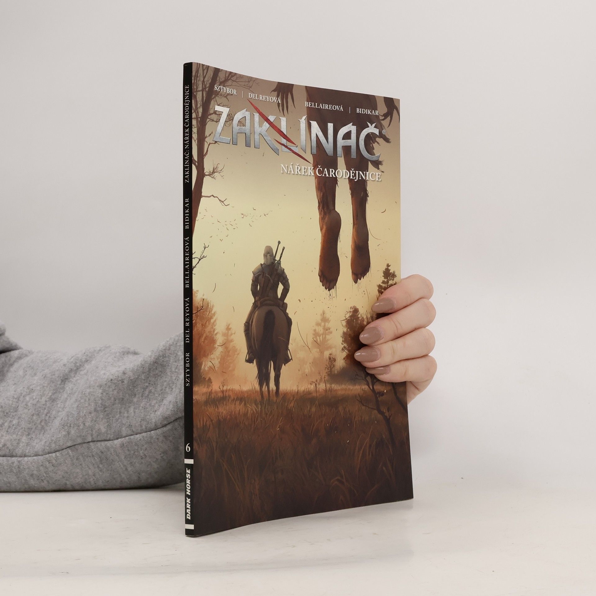 Zaklínač: Nářek čarodějnice