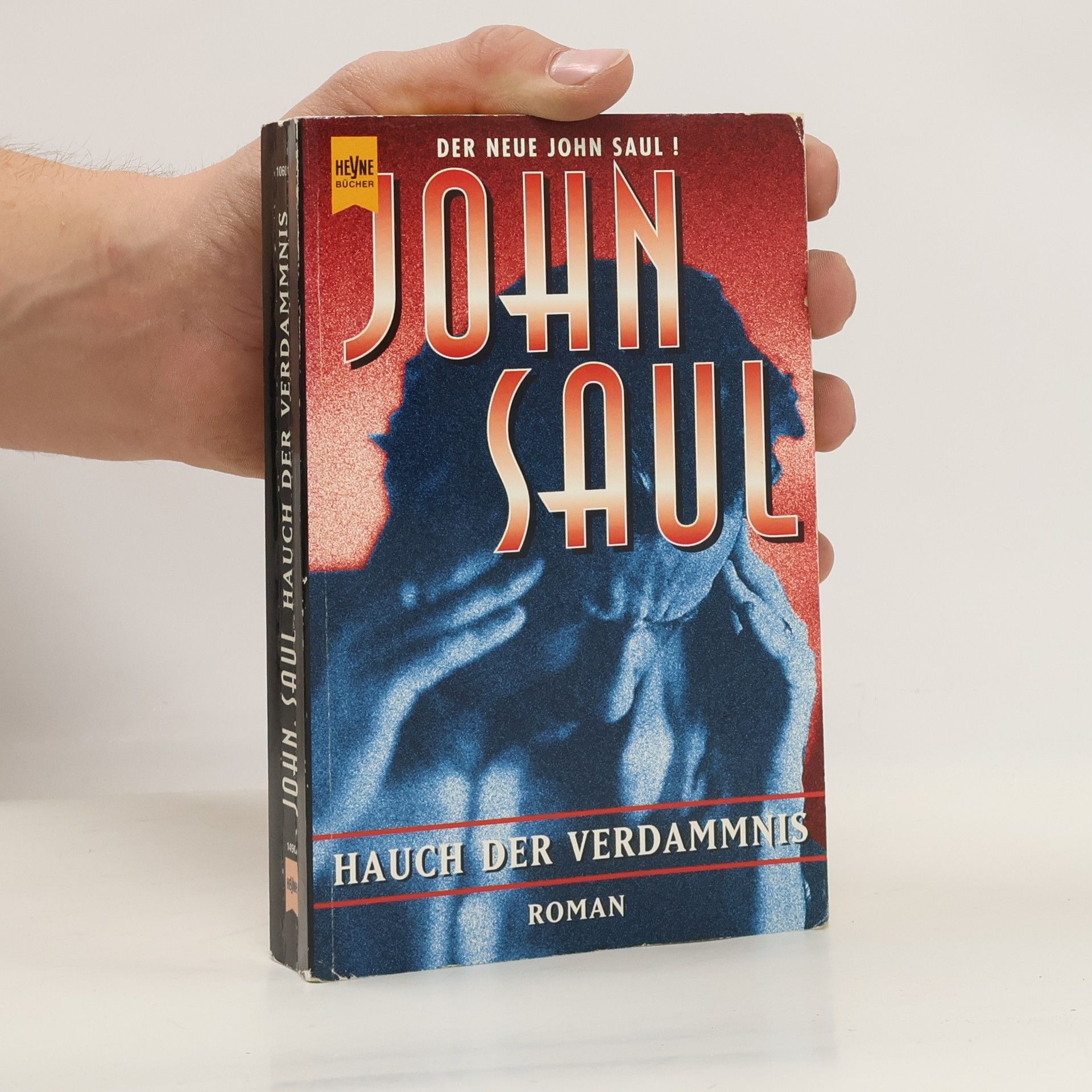 John Saul Hauch der Verdammnis