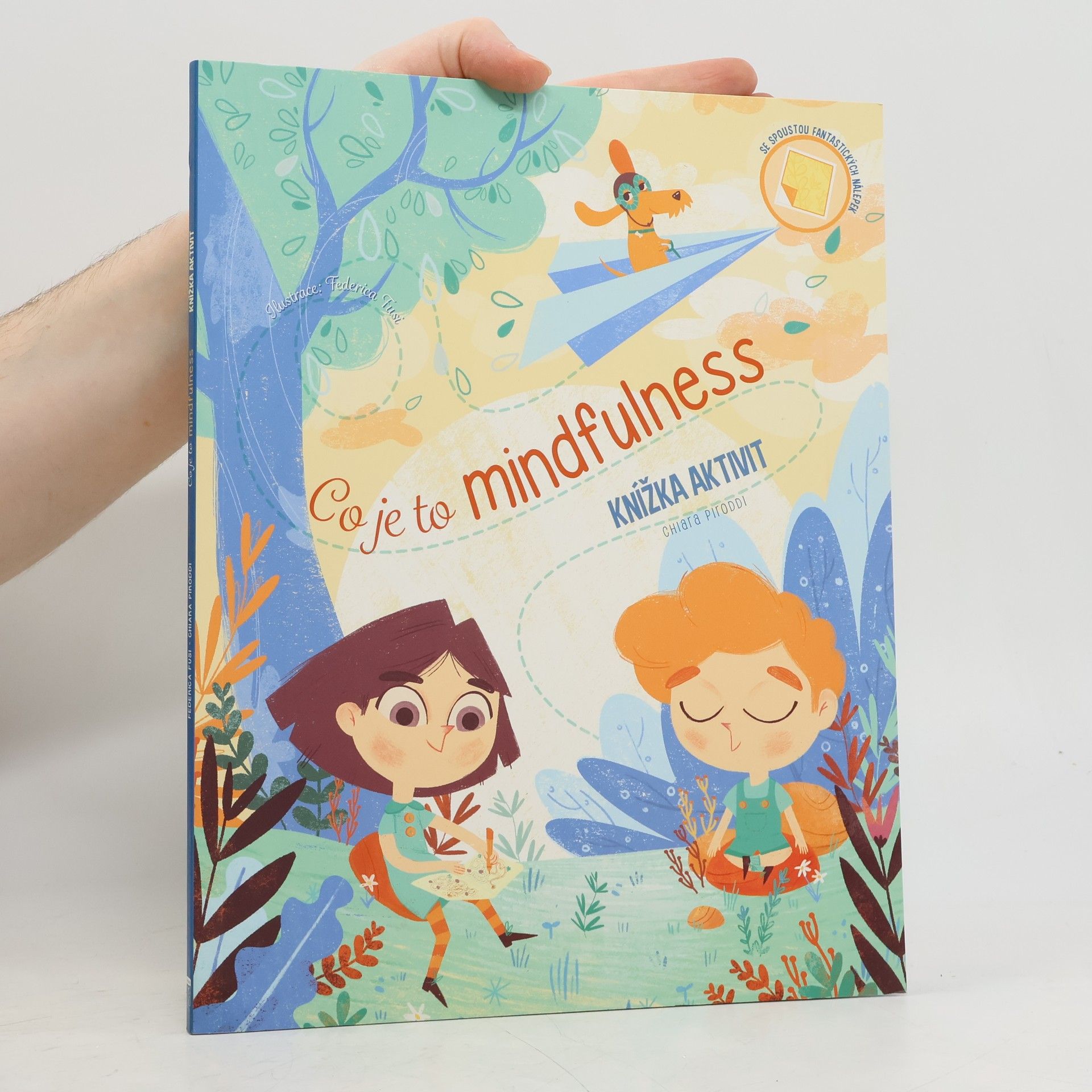 Chiara Piroddi Co je to Mindfulness. Knížka aktivit