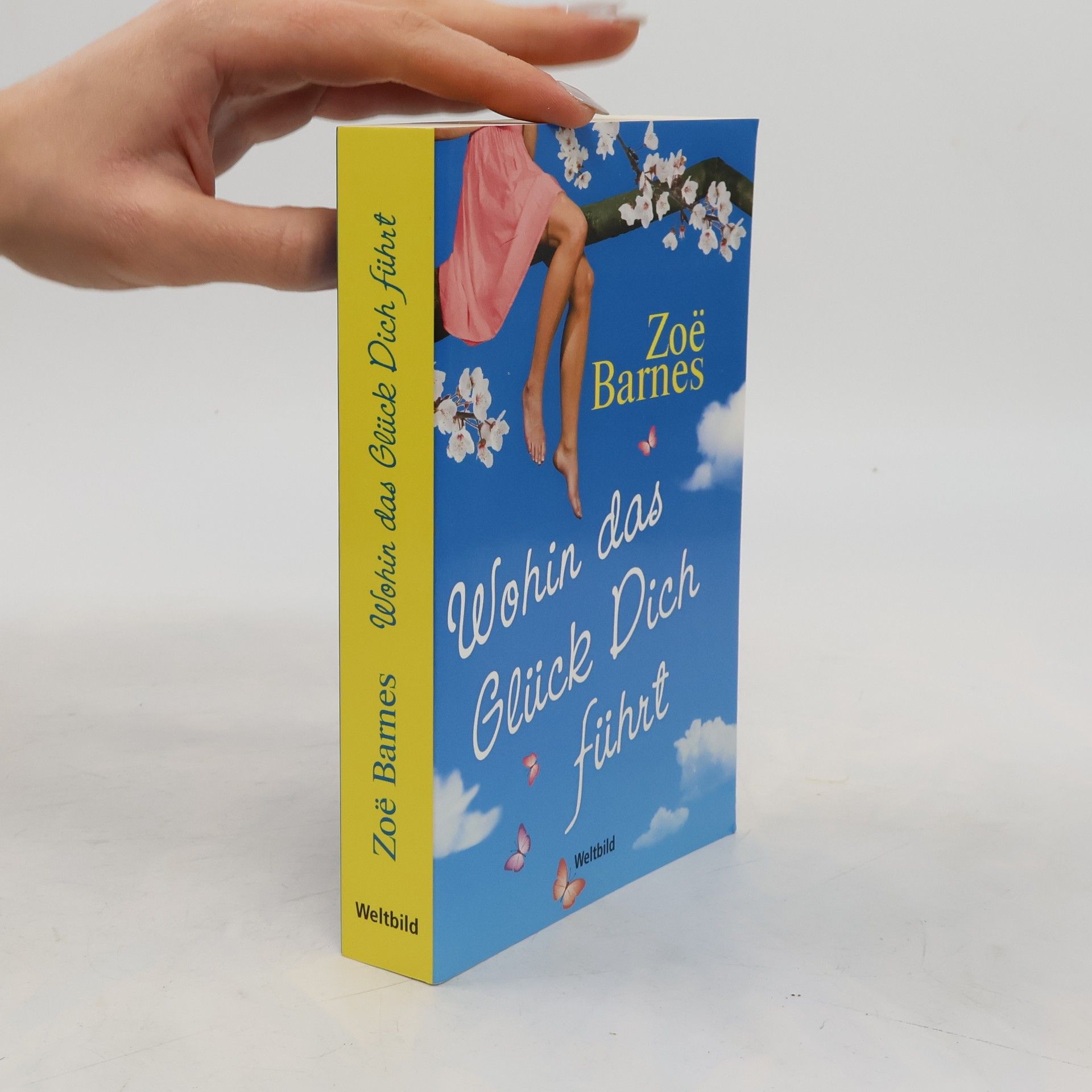 Zoe͏̈ Barnes Wohin das Glück dich führt