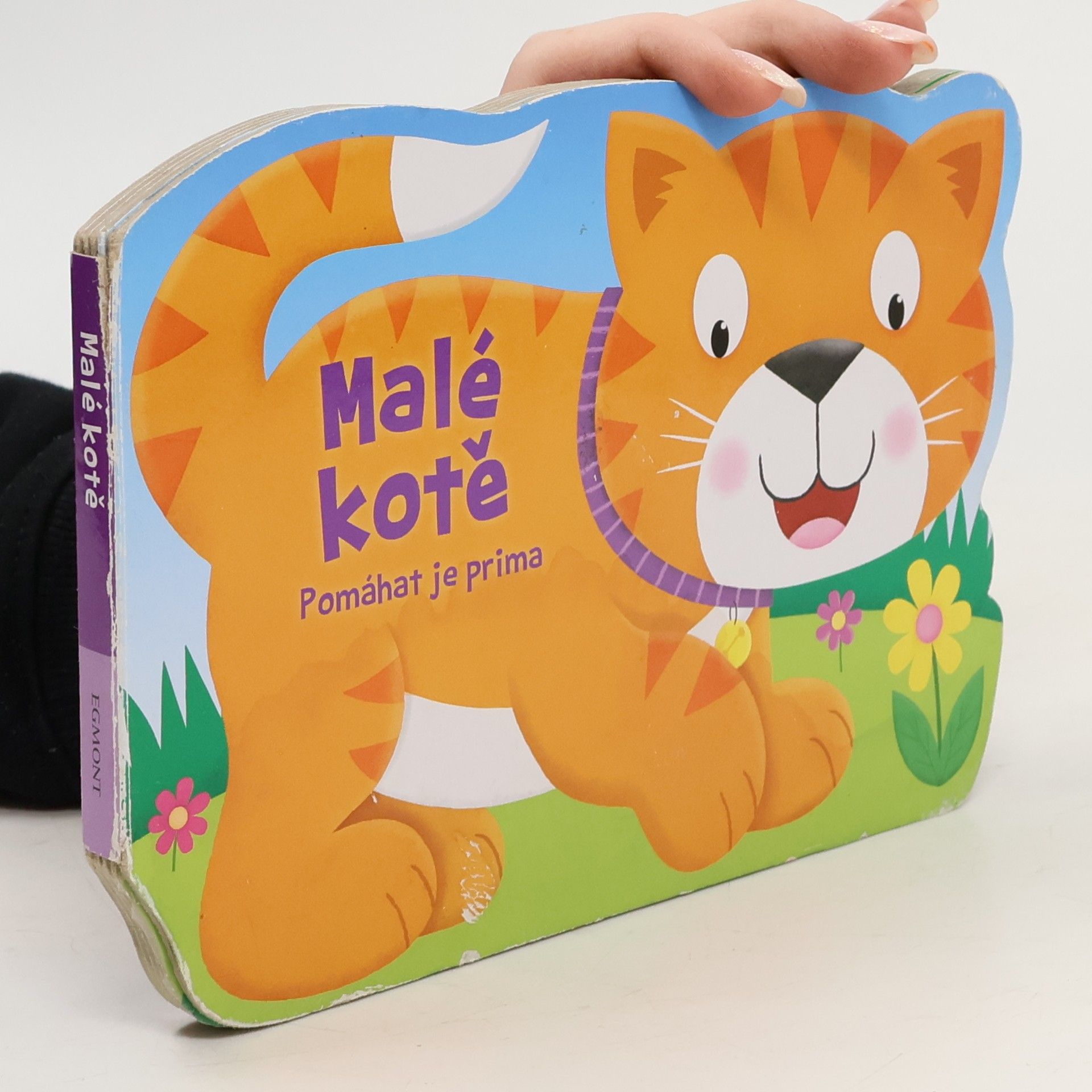 Kolektiv autorů Malé kotě