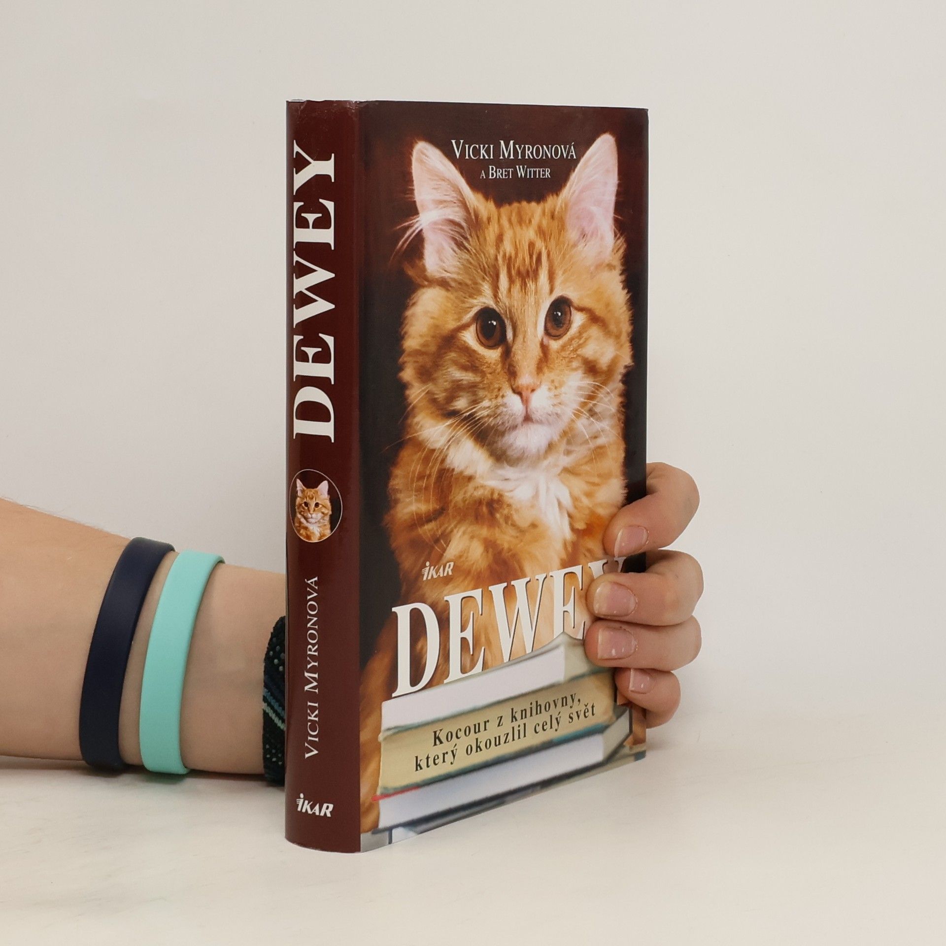 Vicki Myron Dewey. Kocour z knihovny, který okouzlil celý svět