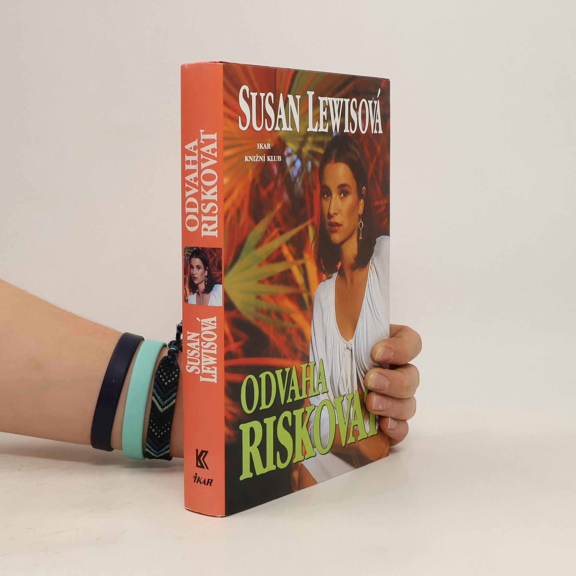 Susan Lewis Honba za sny