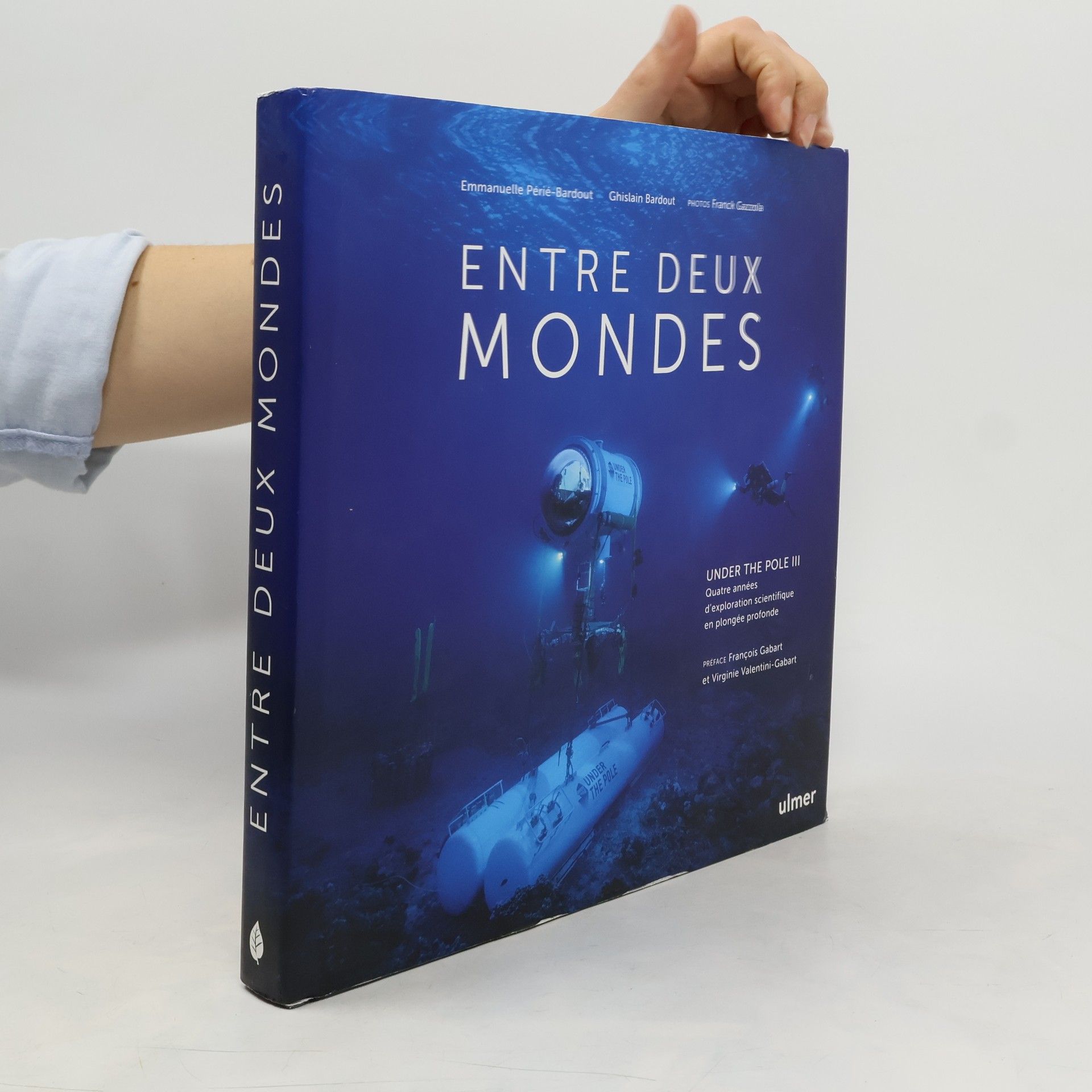 Emmanuelle Périé-Bardout Entre deux mondes