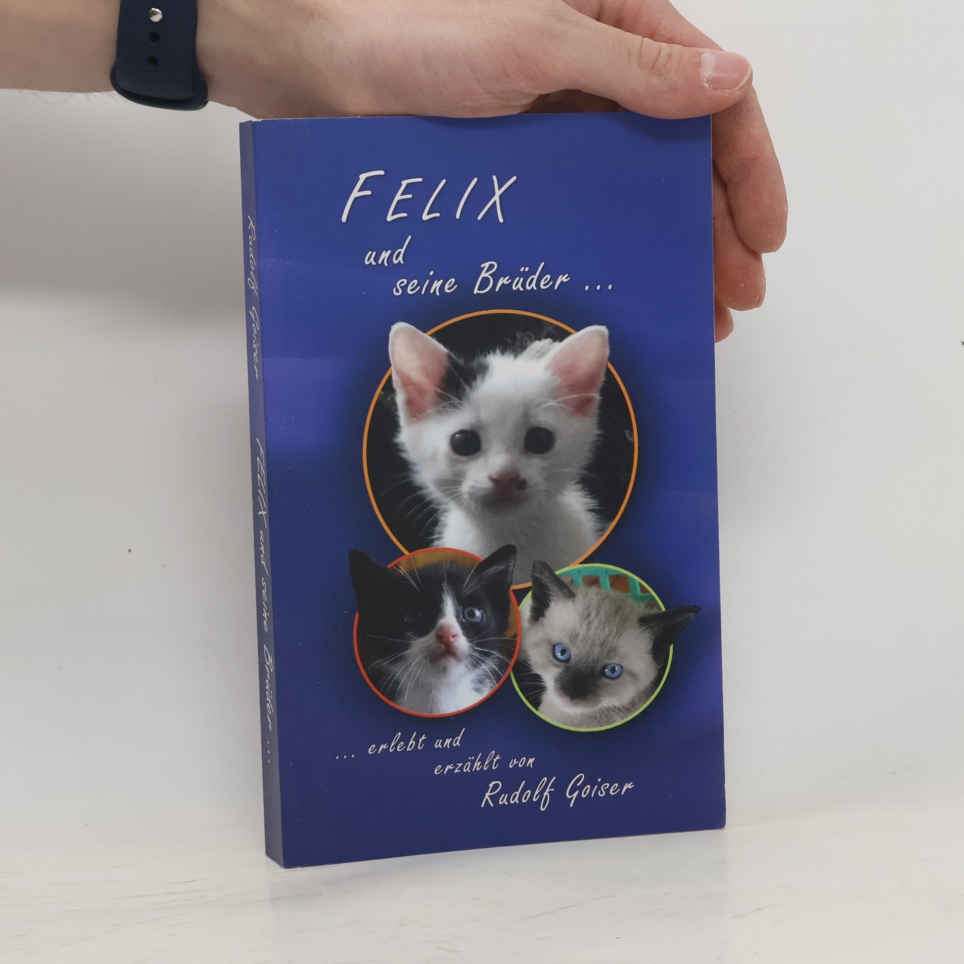 Rudolf Goiser Felix und seine Brüder