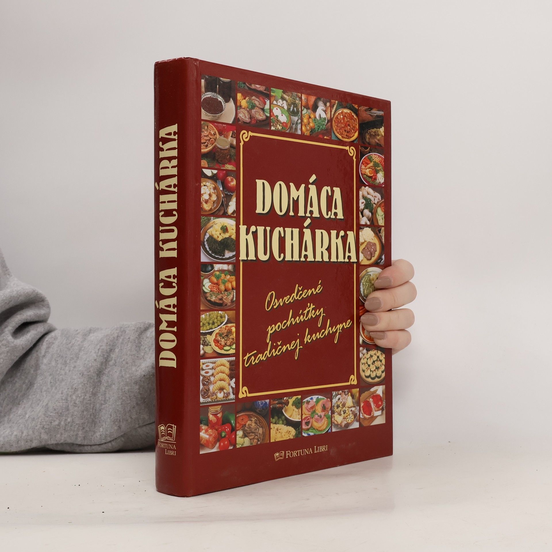 Alena Doležalová Domáca kuchárka : osvedčené pochúťky tradičnej kuchyne