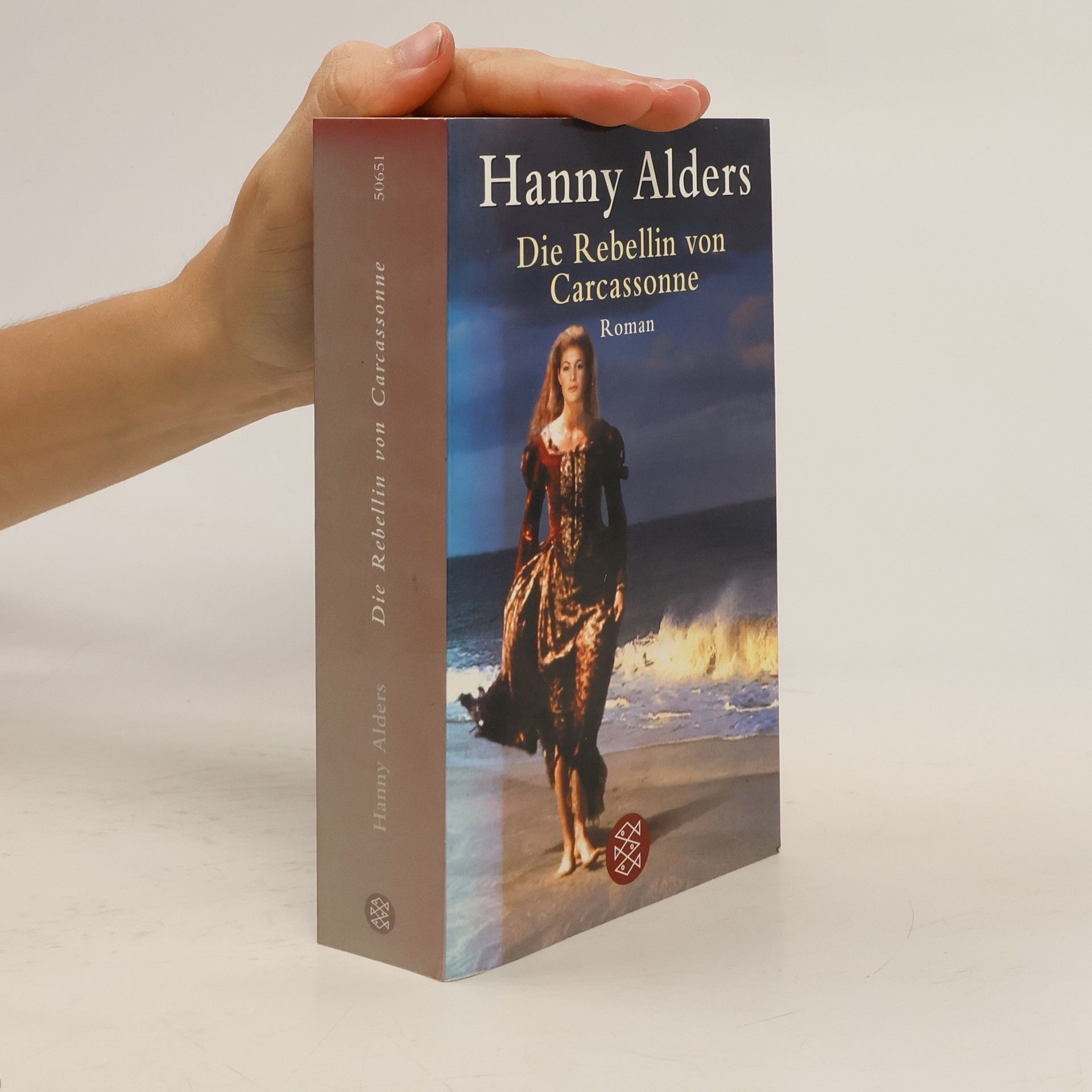 Hanny Alders Die Rebellin von Carcassonne