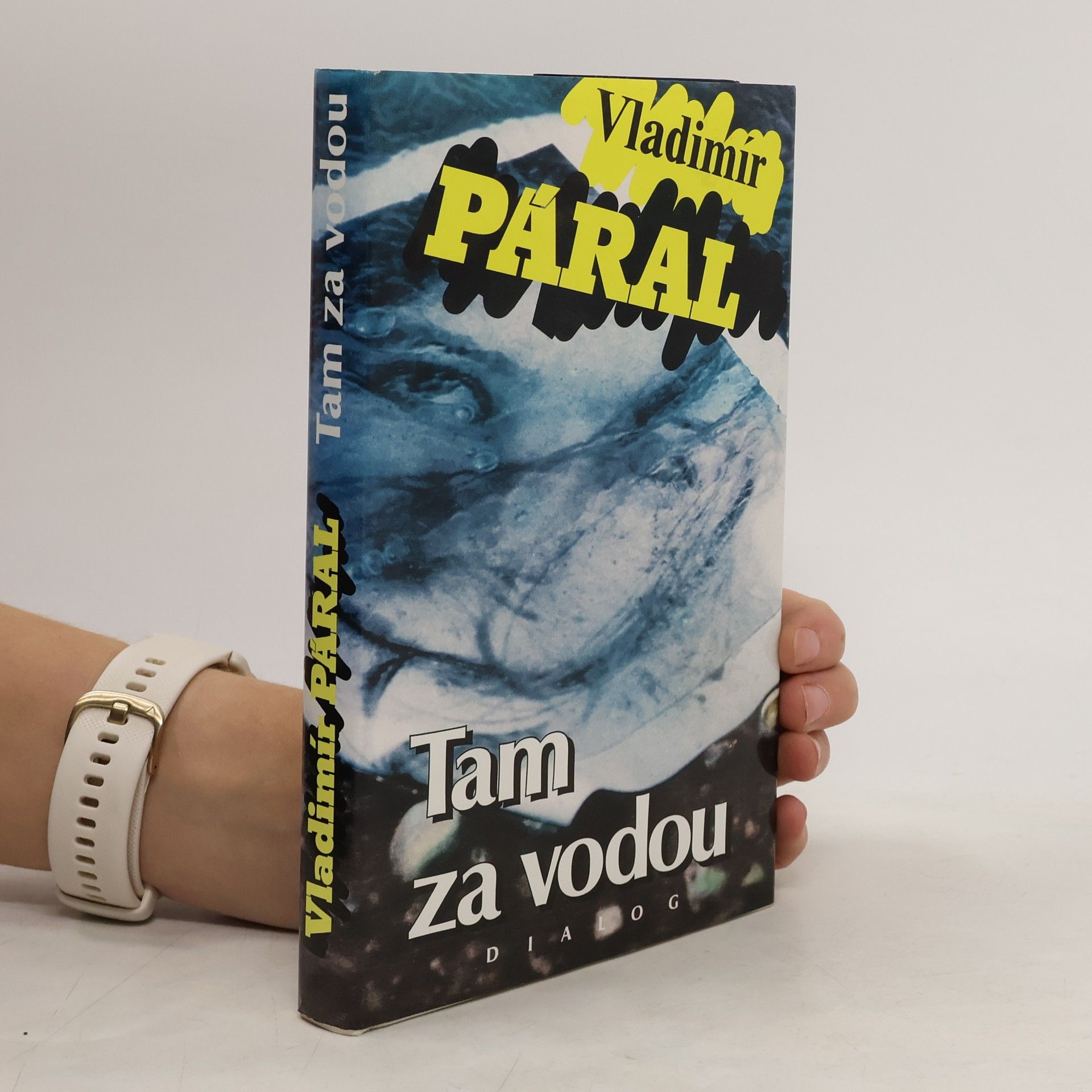 Vladimír Páral Tam za vodou