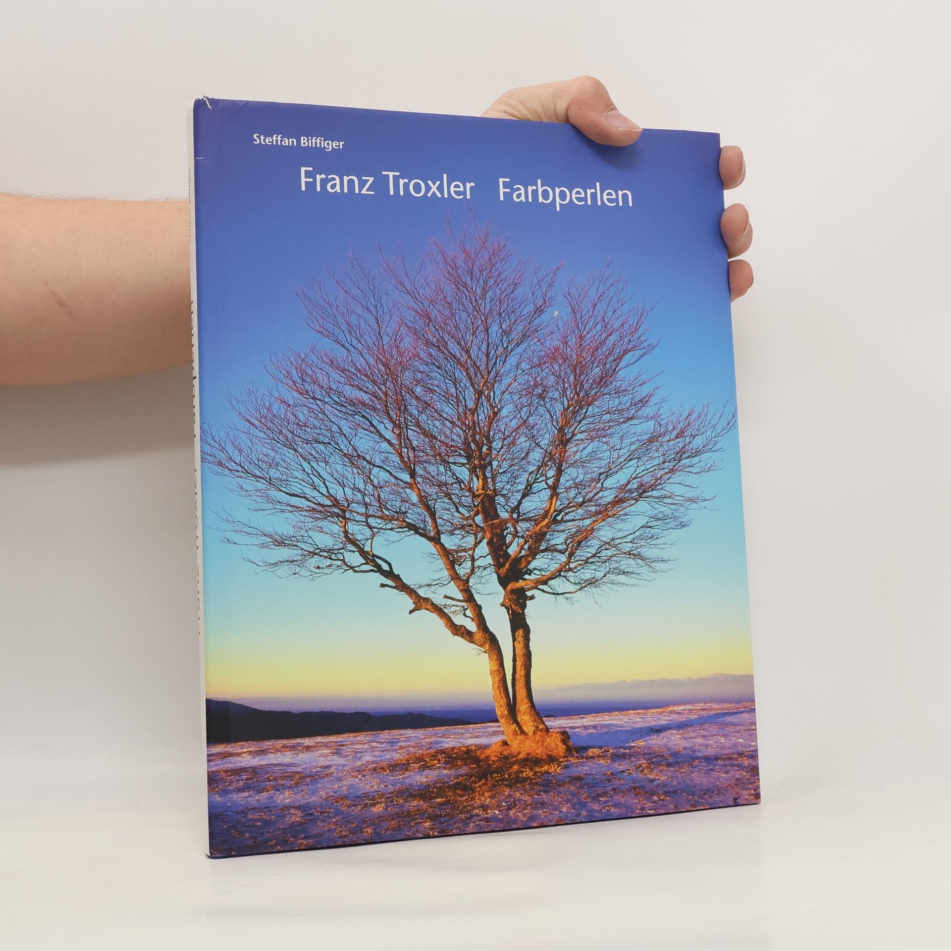 Steffan Biffiger Franz Troxler, Farbperlen