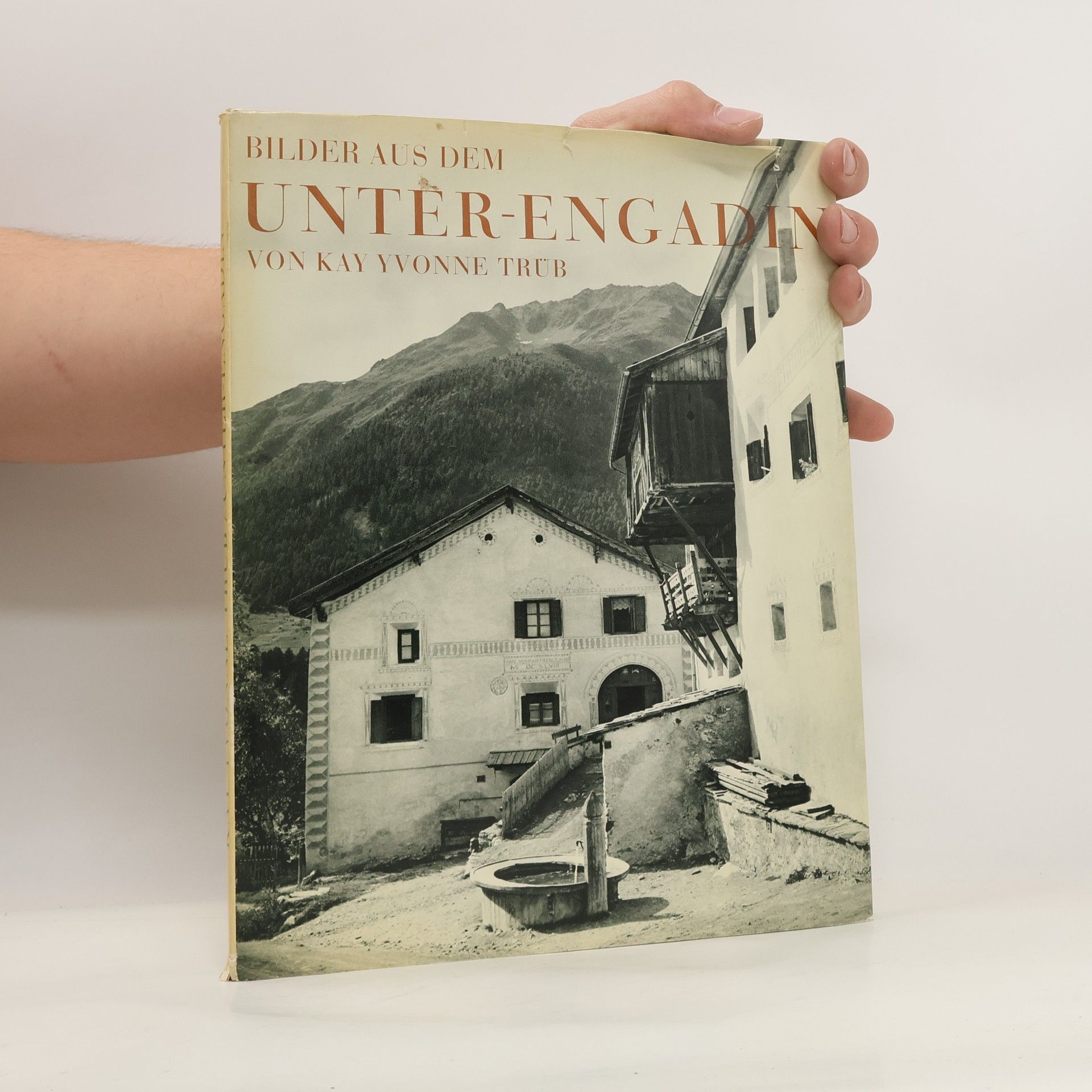 Kay Yvonne Trüb Bilder aus dem Unter-Engadin