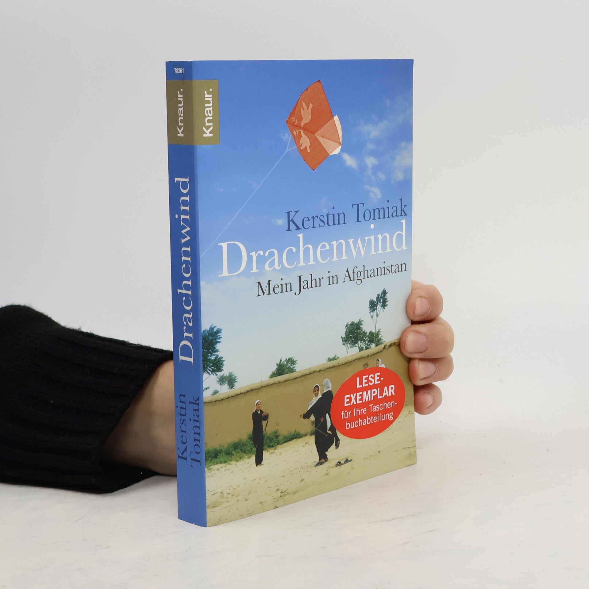 Kerstin Tomiak Drachenwind