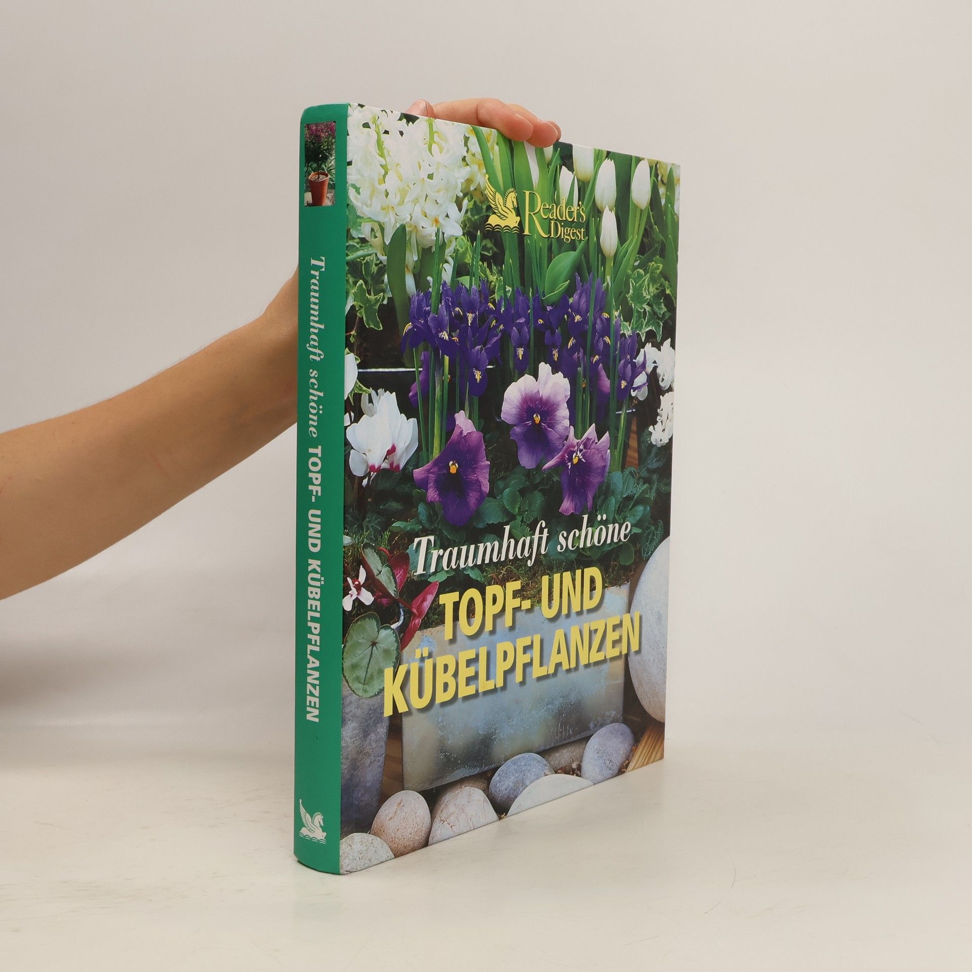 Stefanie Burkhardt-Sischka Traumhaft schöne Topf- und Kübelpflanzen