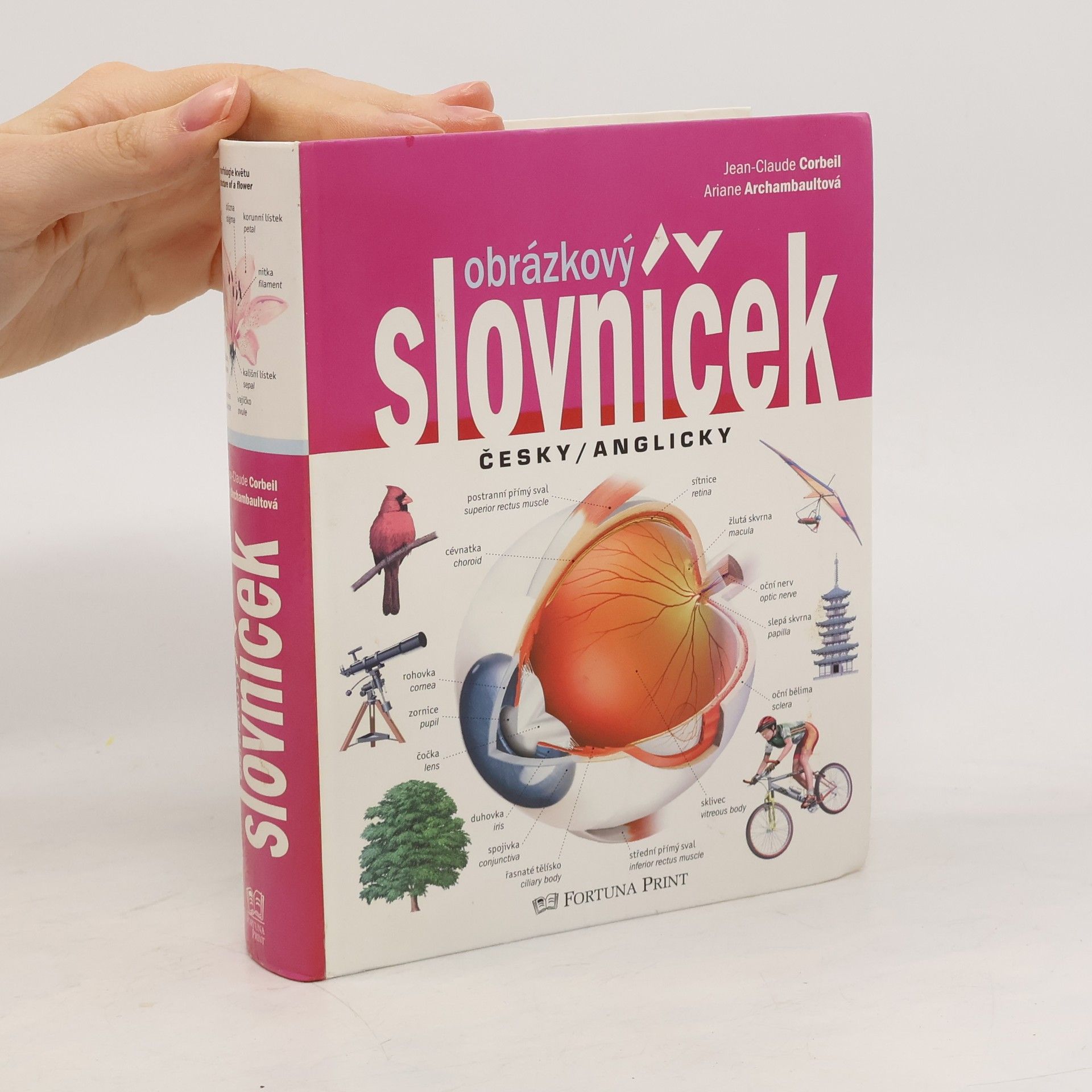 Obrázkový slovníček. Česky/anglicky