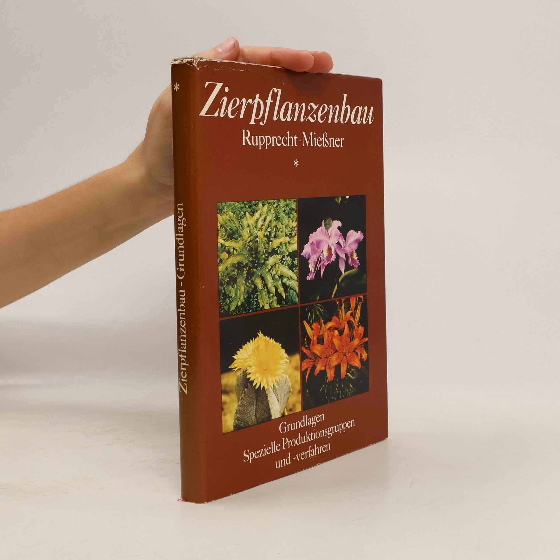 Collectif d'auteurs Zierpflanzenbau