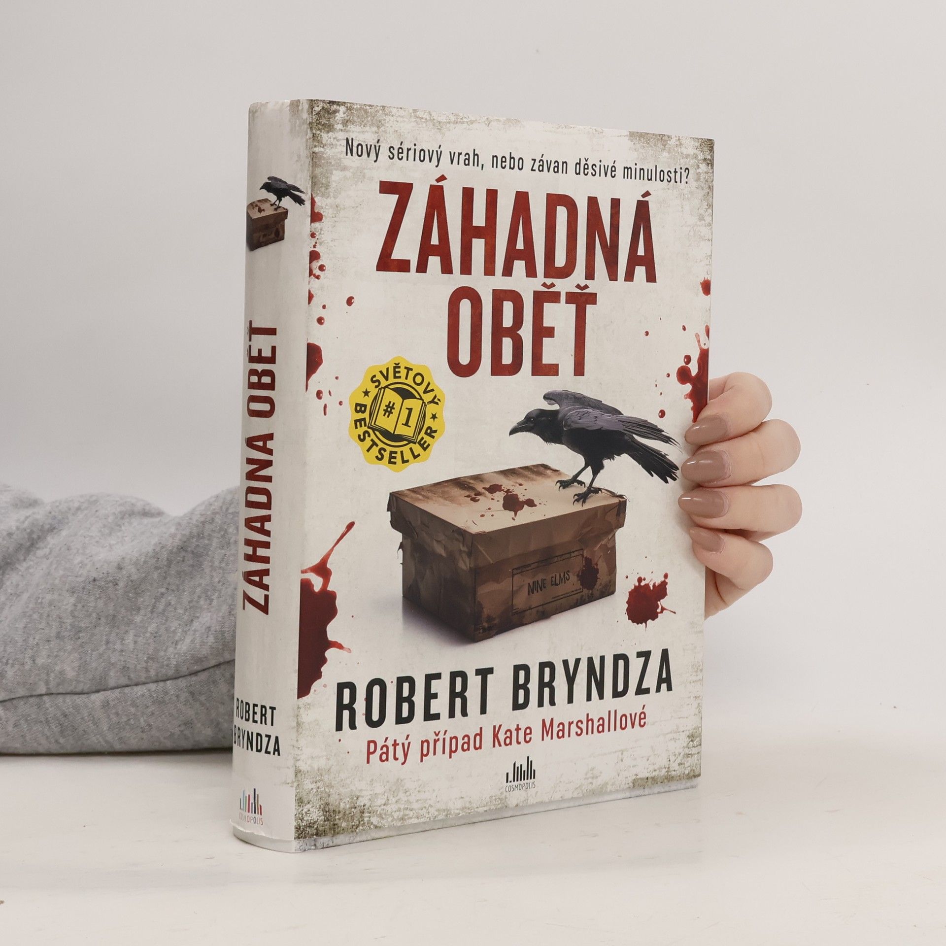 Robert Bryndza Záhadná oběť