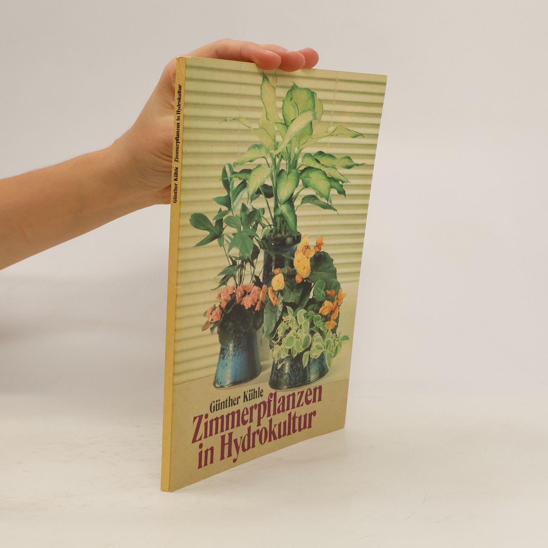 Günter Kühler Zimmerpflanzen in Hydrokultur