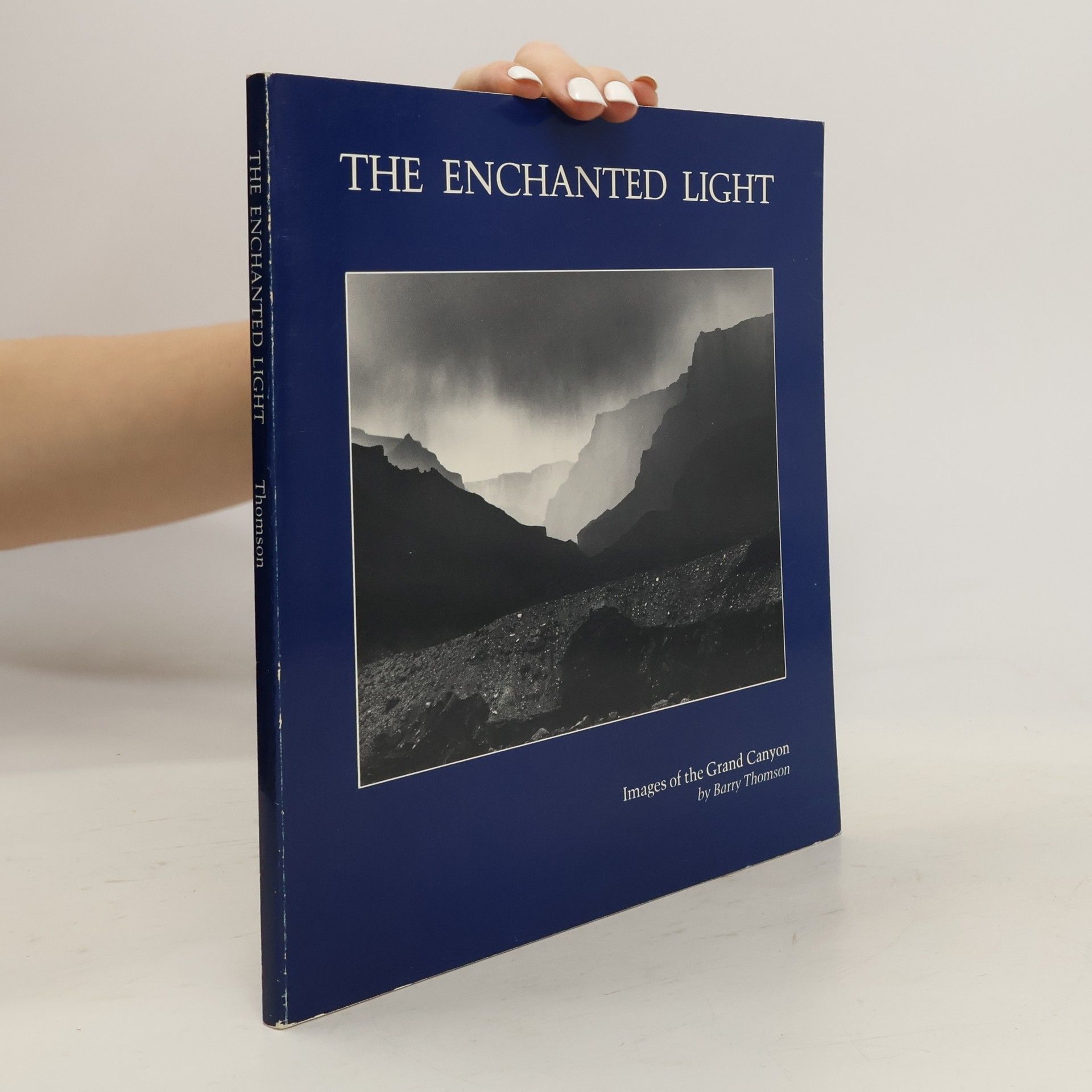 Barry Thomson The Enchanted Light