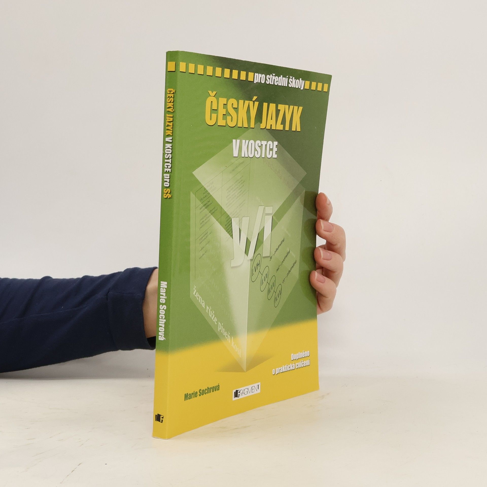 Marie Sochrová Český jazyk v kostce : pro střední školy