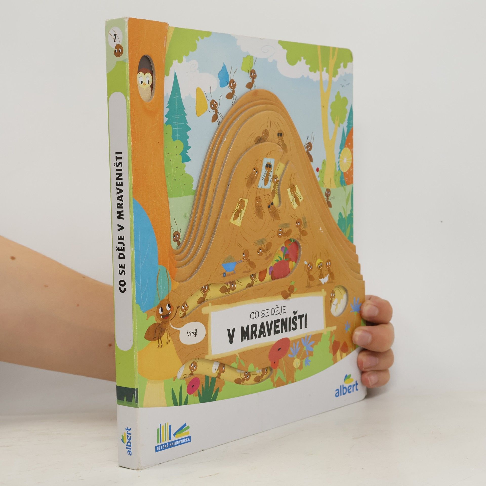 Autorenkollektiv Co se děje v mraveništi