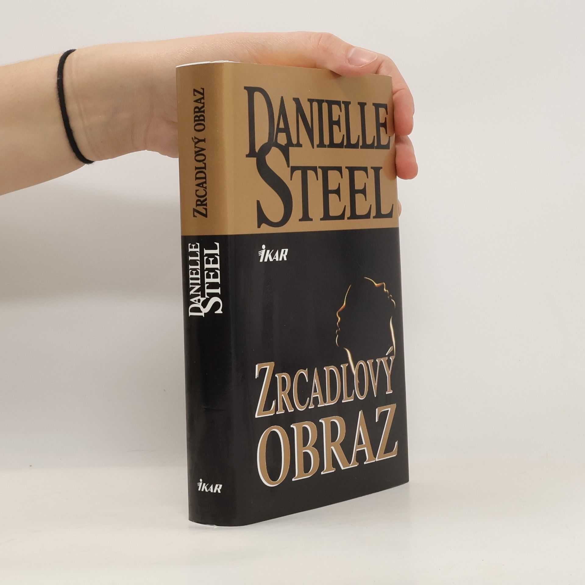 Danielle Steel Zrcadlový obraz