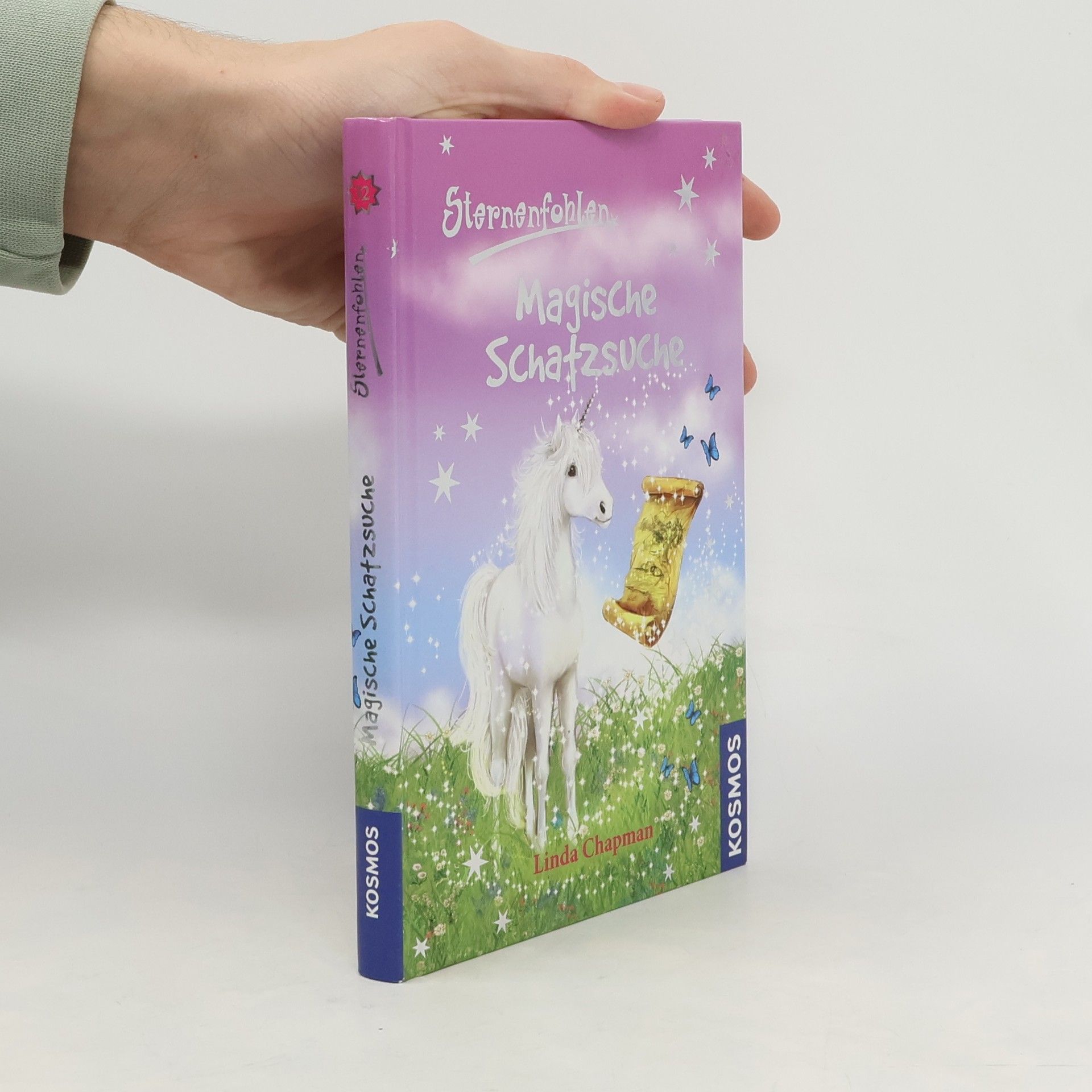 Linda Chapman Magische Schatzsuche