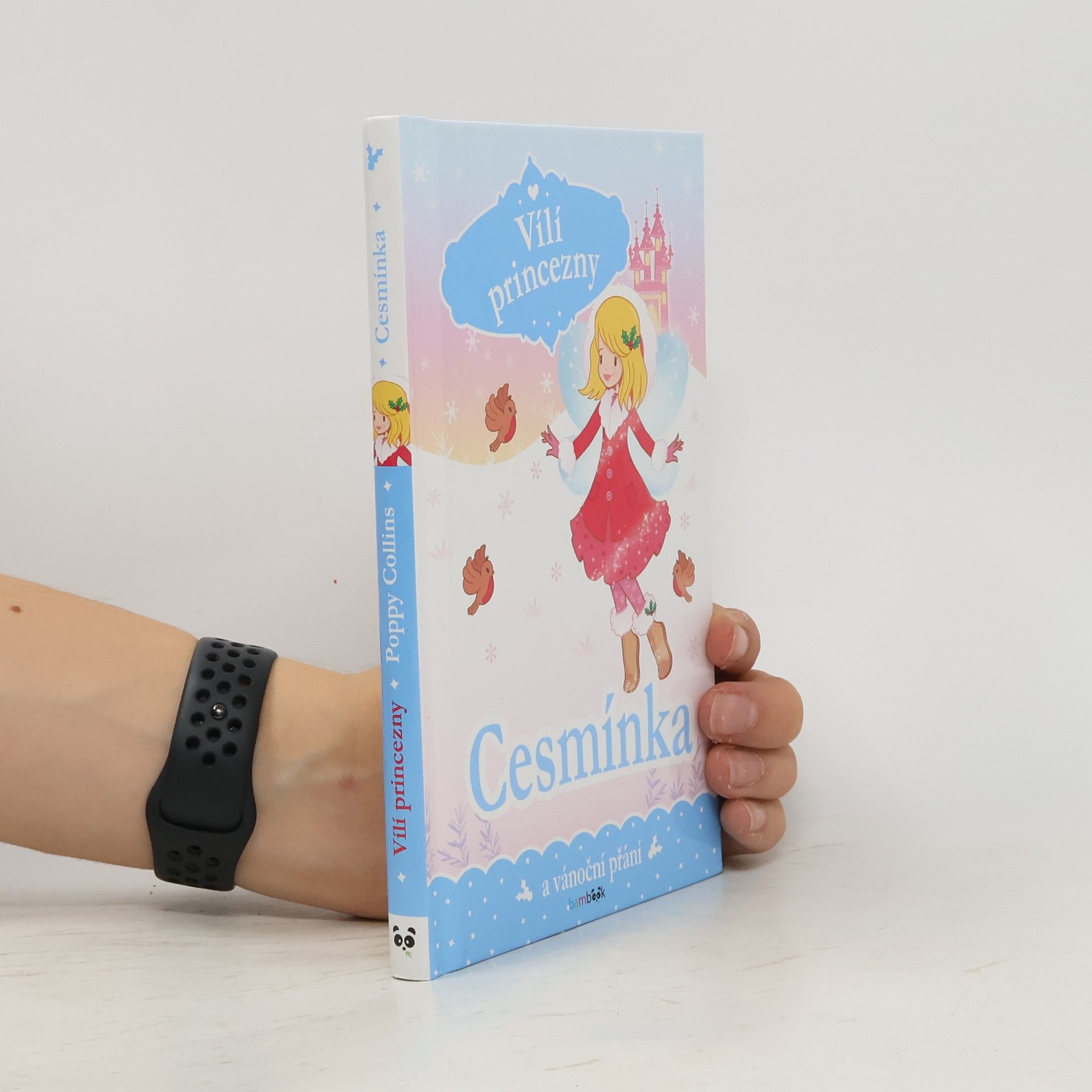 Vílí princezny. Cesmínka a vánoční přání